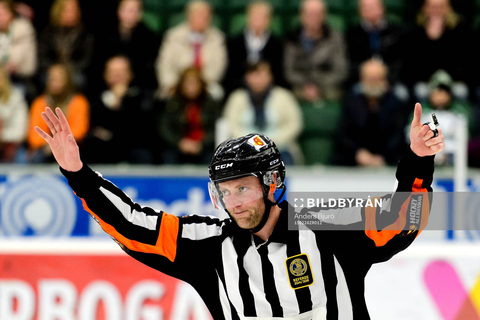 Domare Robin Karlsson