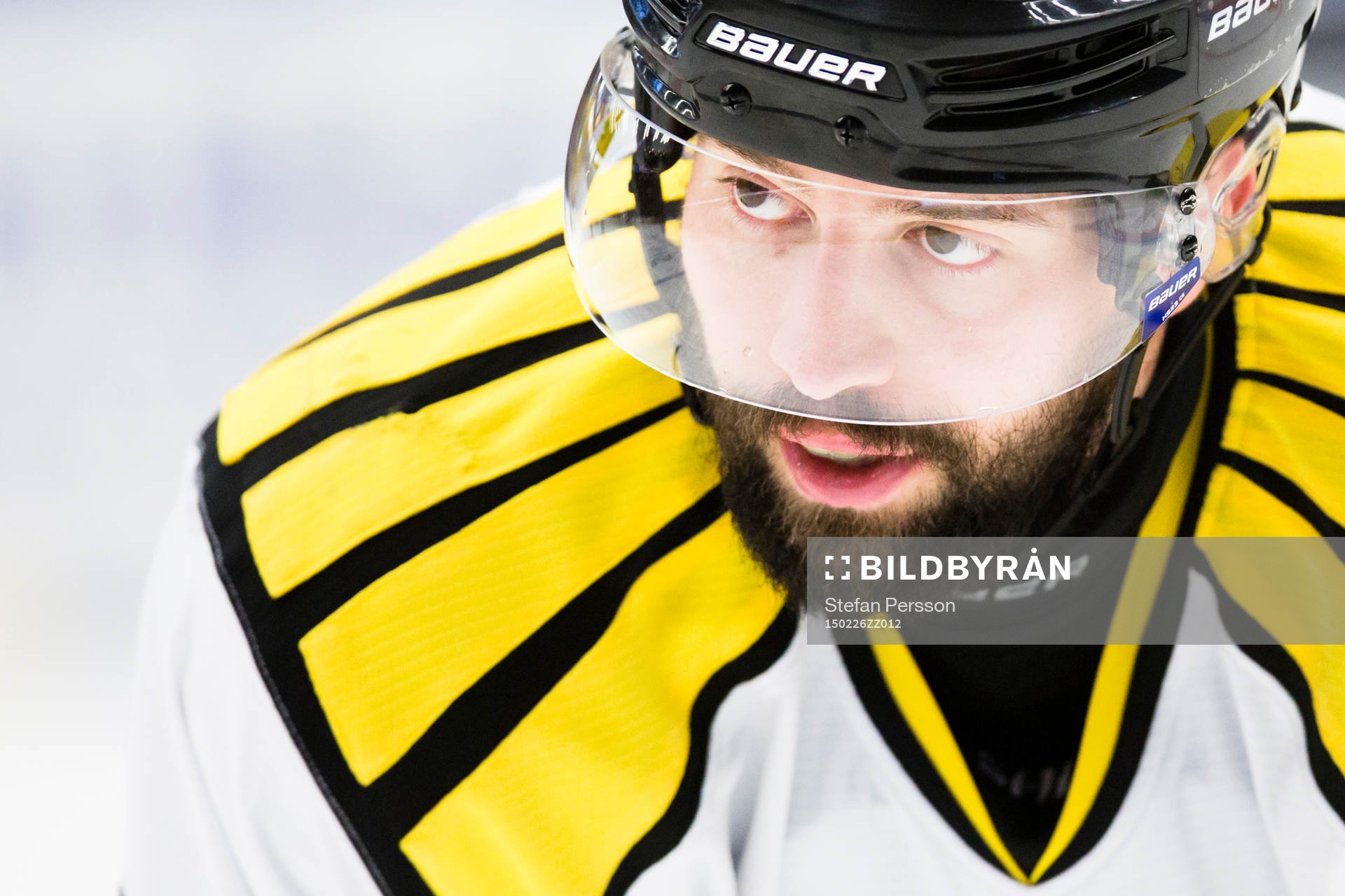 Brynäs Tomas Slovak