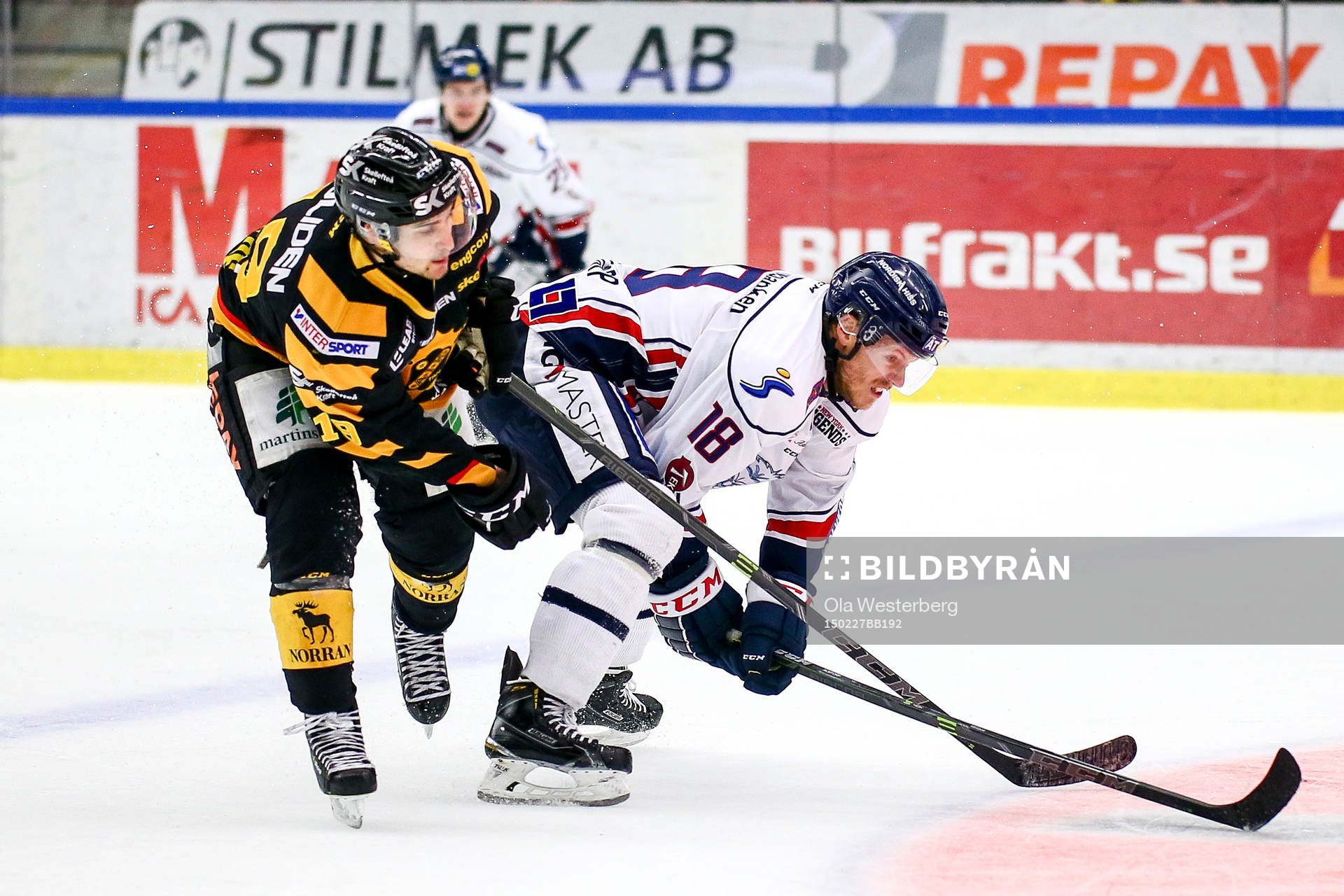 Skellefteås Andrew Calof