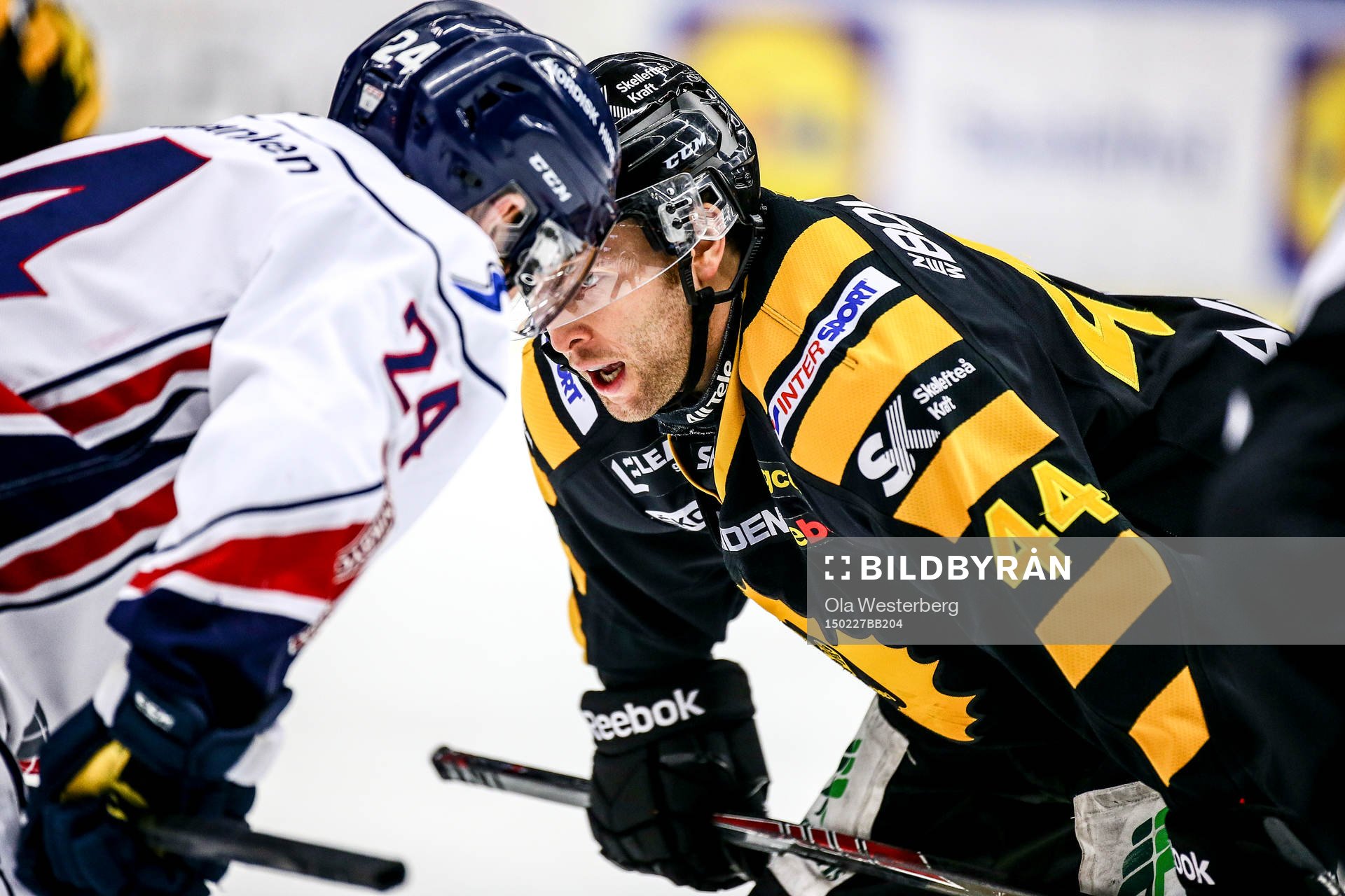 Skellefteås Rob Schremp