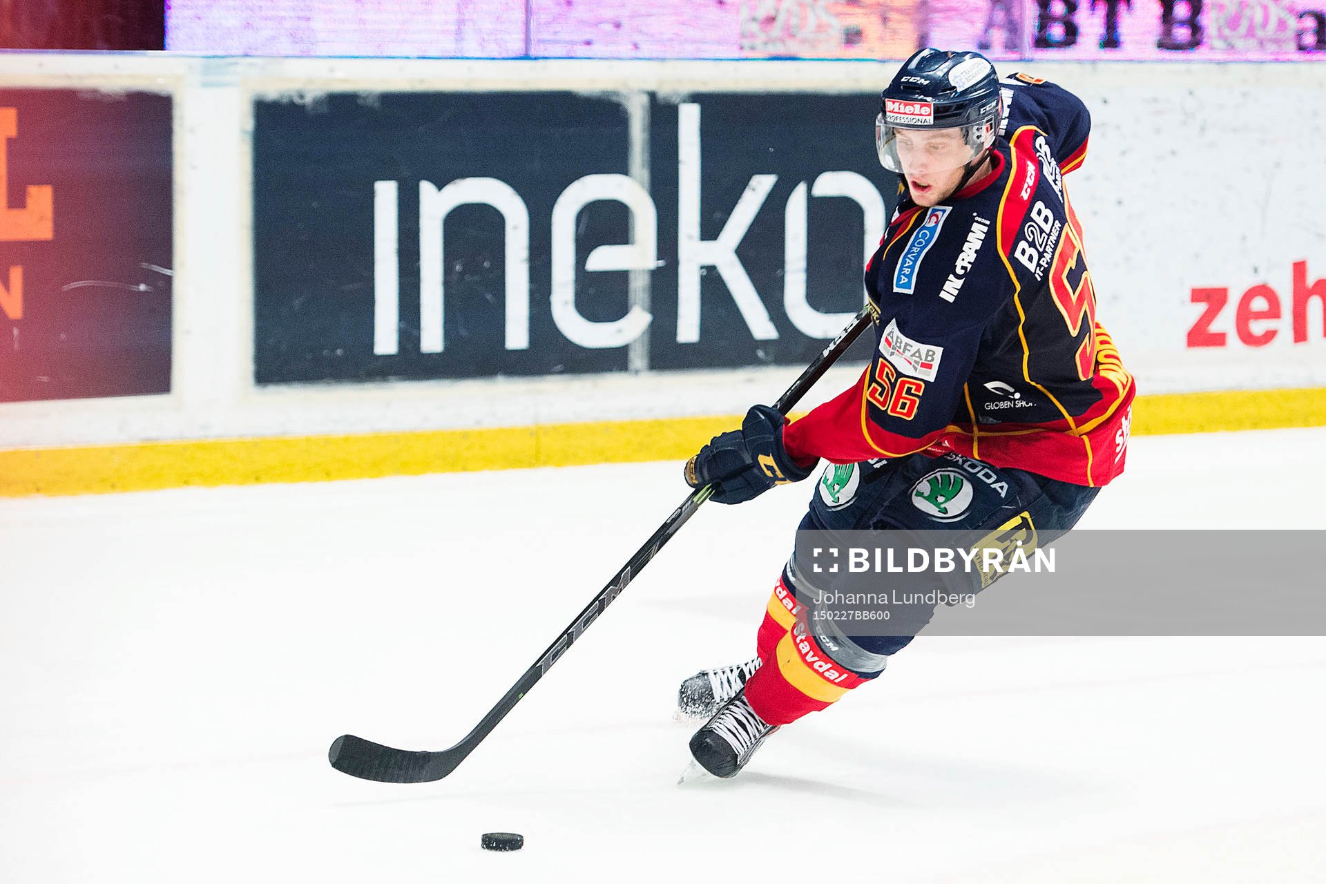 Djurgårdens Robin Norell