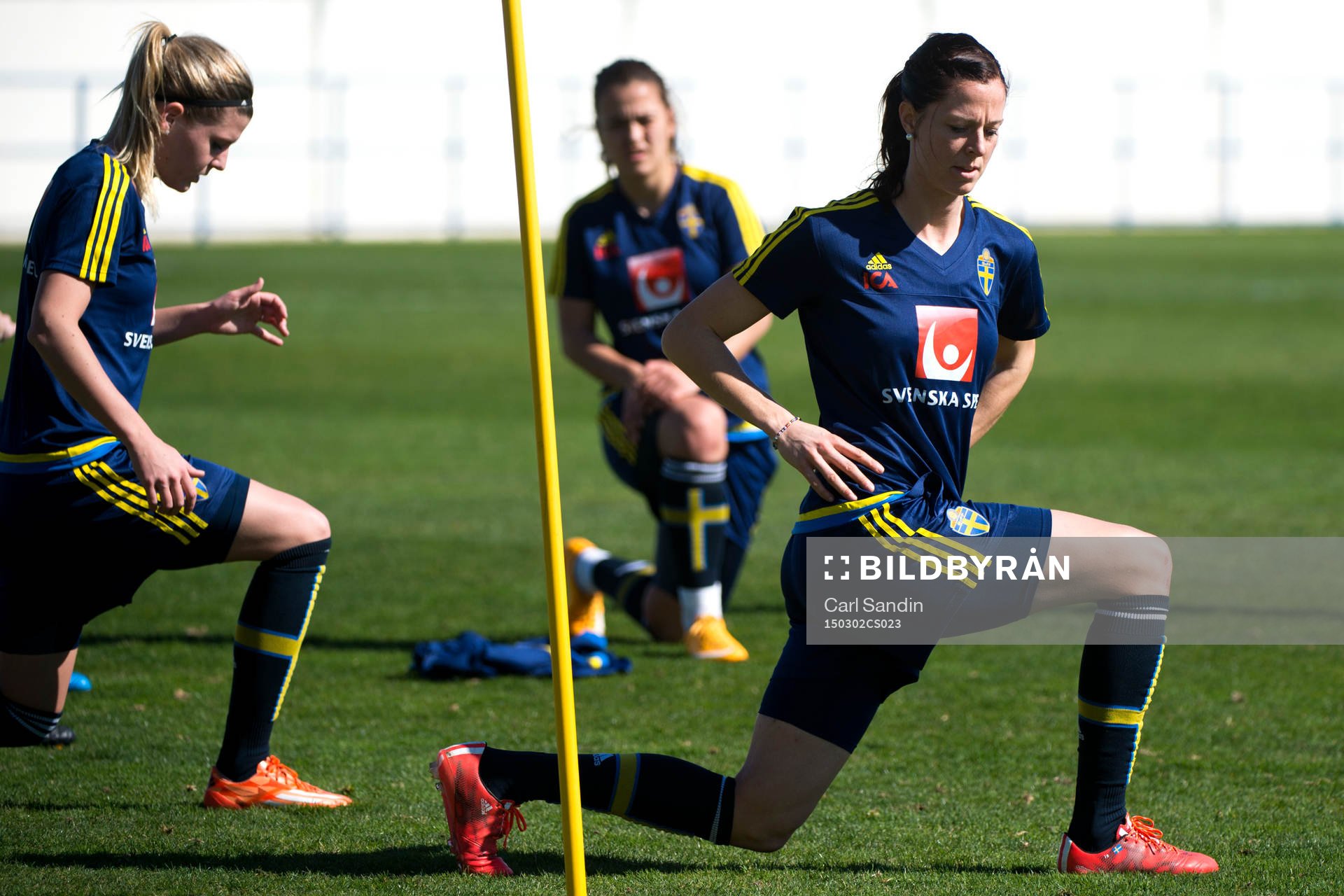 Lotta Schelin