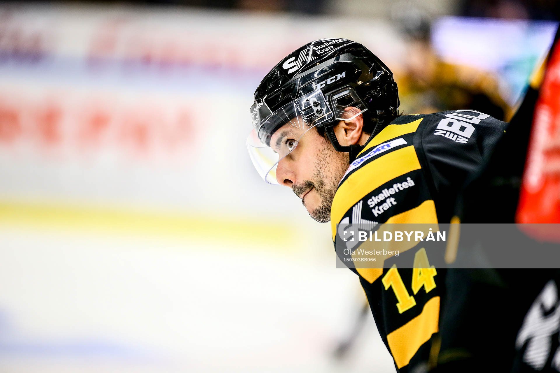 Skellefteås Daniel Widing