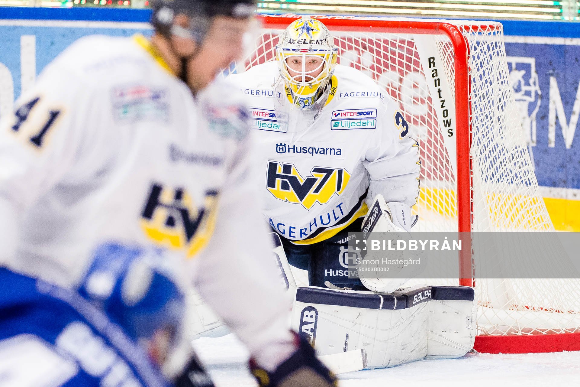 HV71s målvakt Gustaf Wesslau