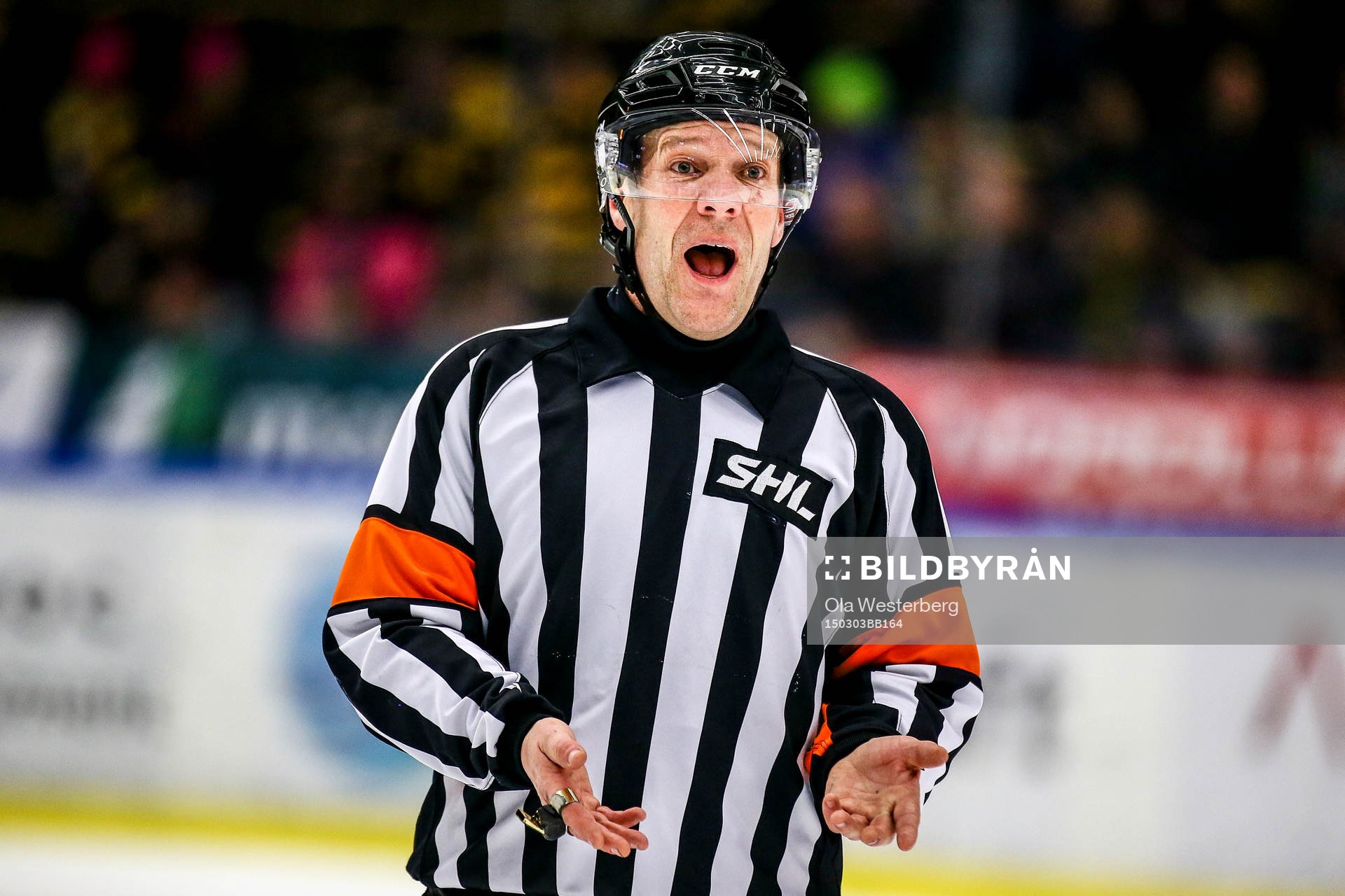 Domare Thomas Andersson