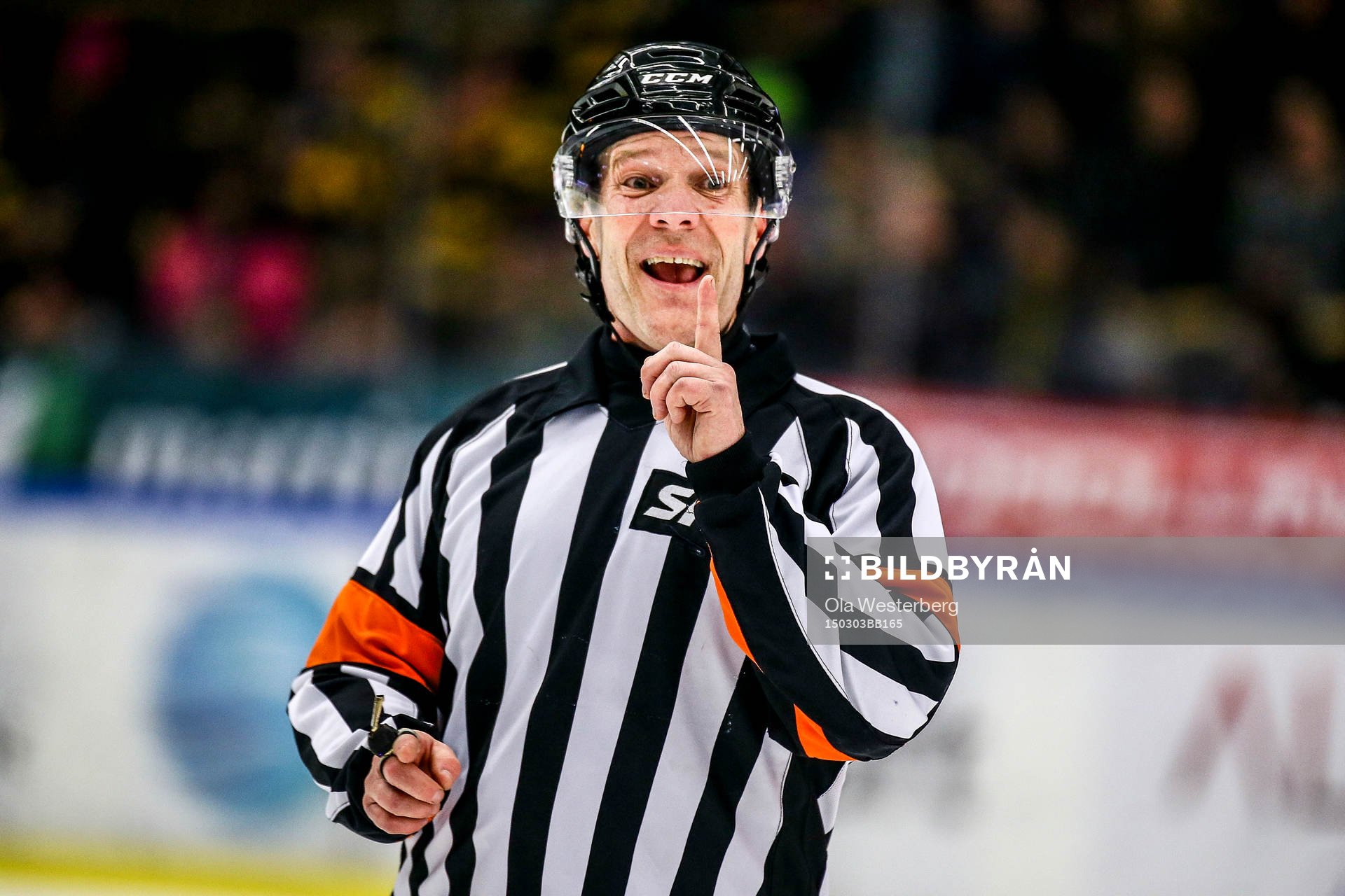 Domare Thomas Andersson