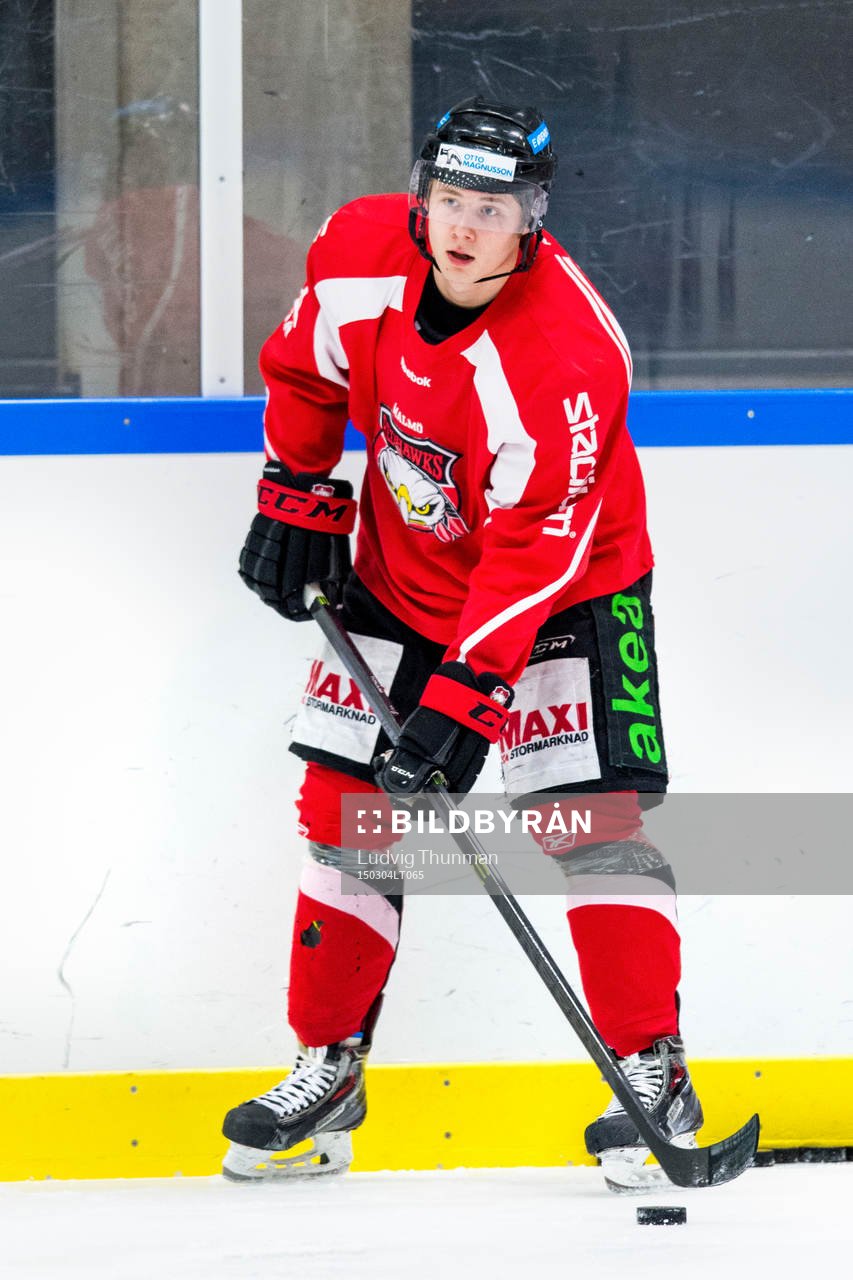 Malmö Redhawks Jens Henrik Tönjum