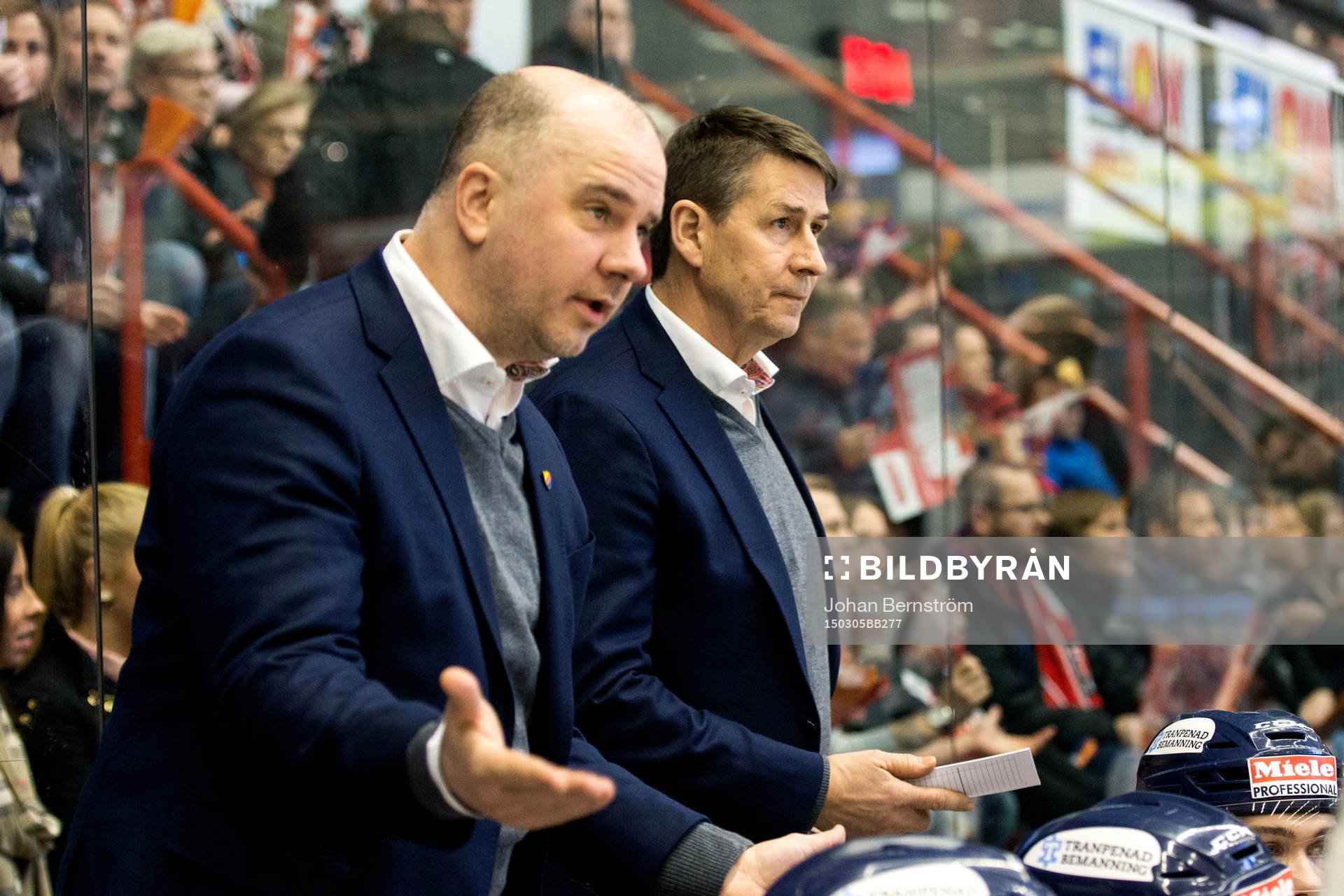 Djurgårdens assisterande tränare Tony Zabel och tränare