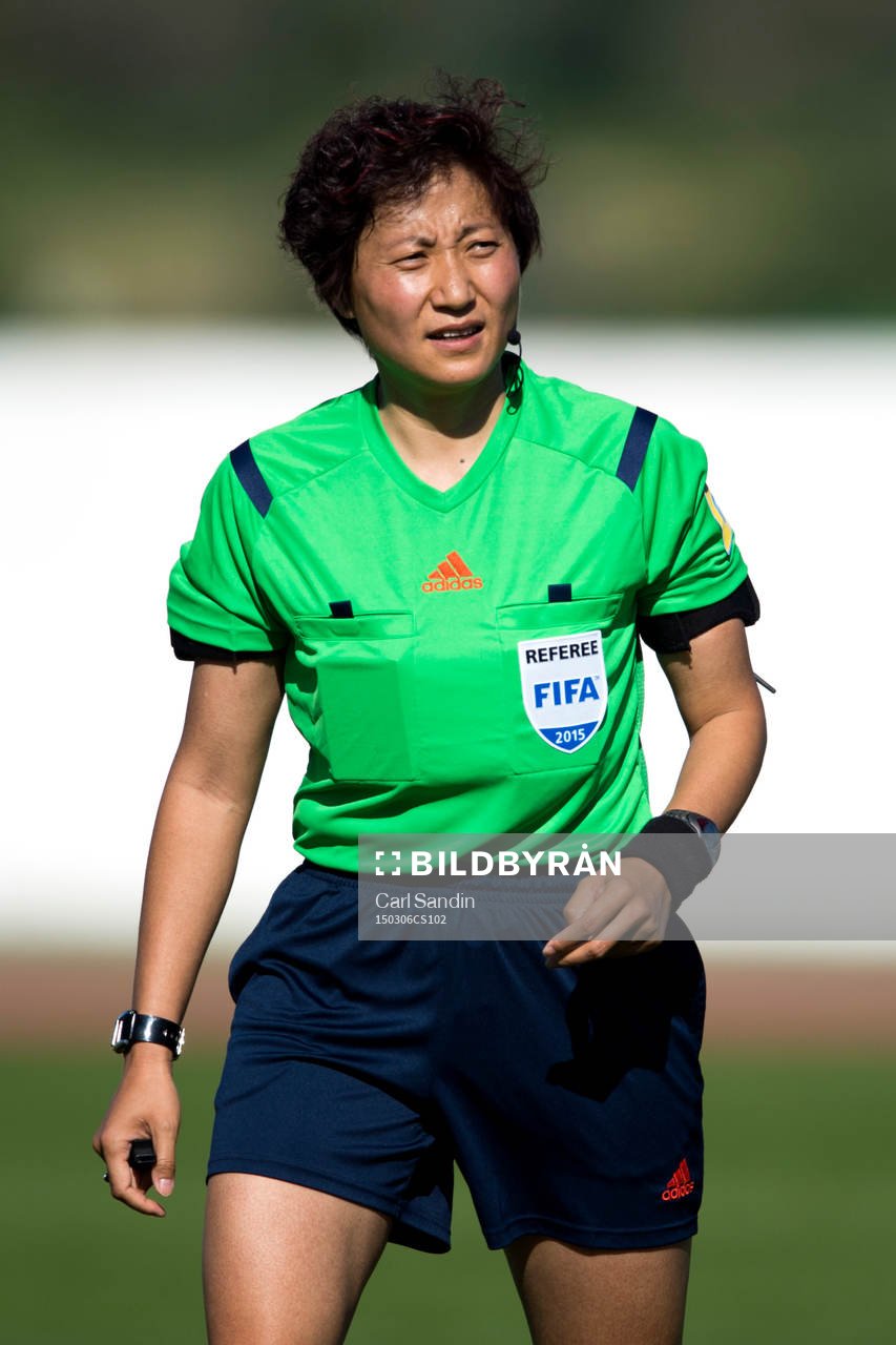 Domare Liang Qin