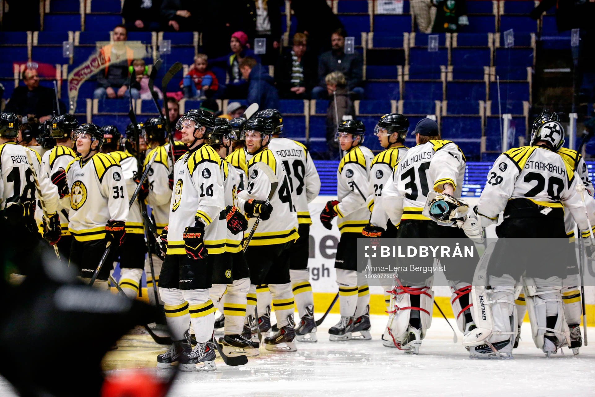 Brynäs jublar