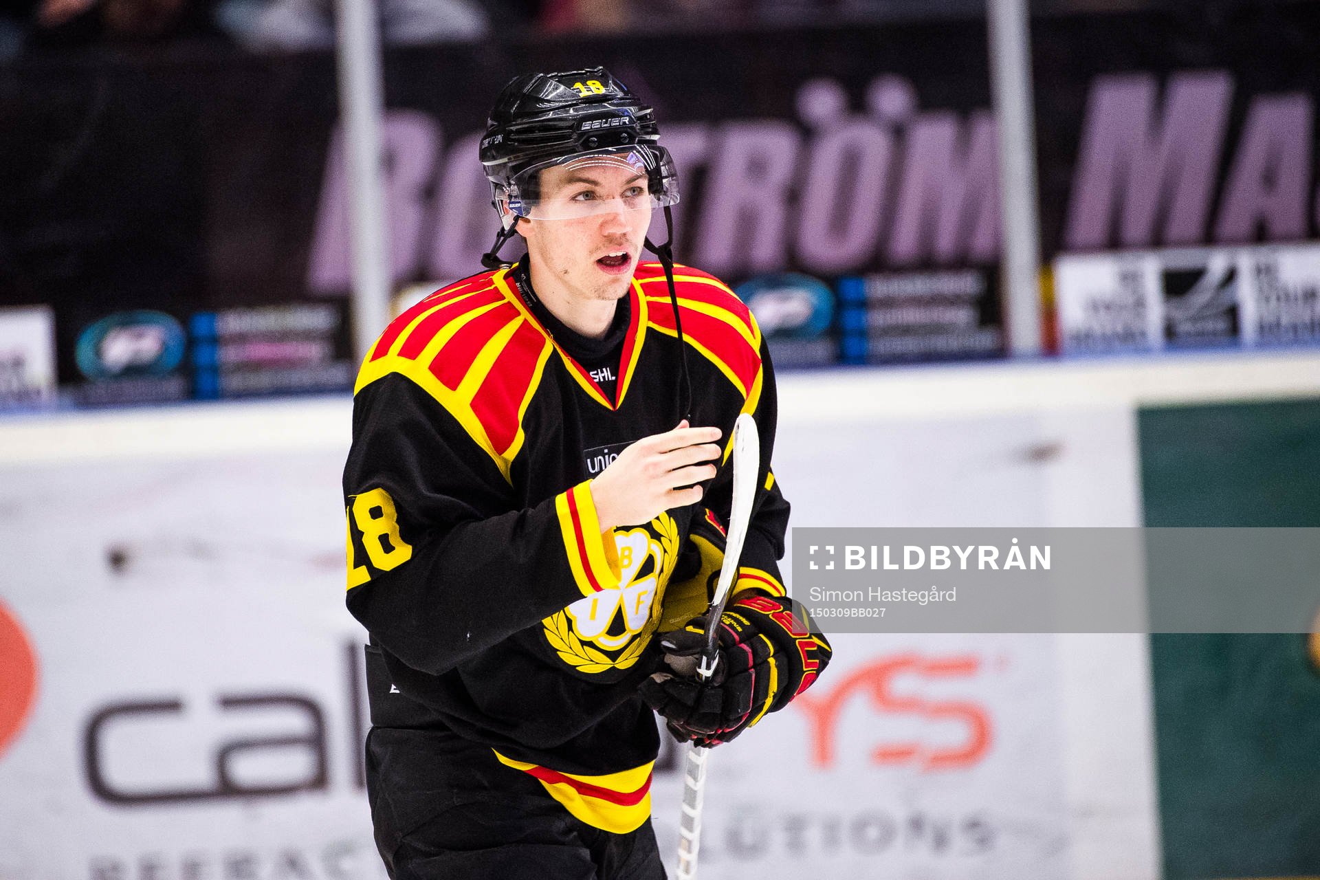 Brynäs Anton Rödin