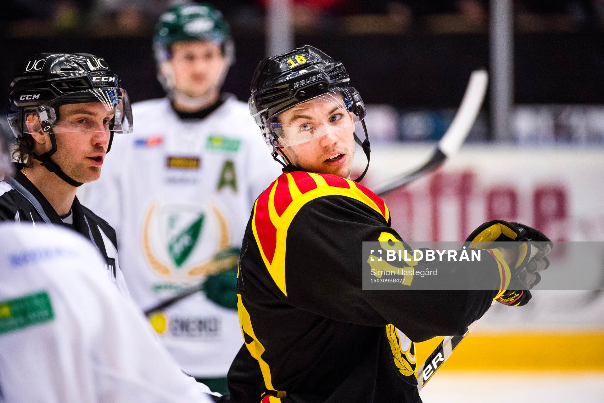Brynäs Anton Rödin