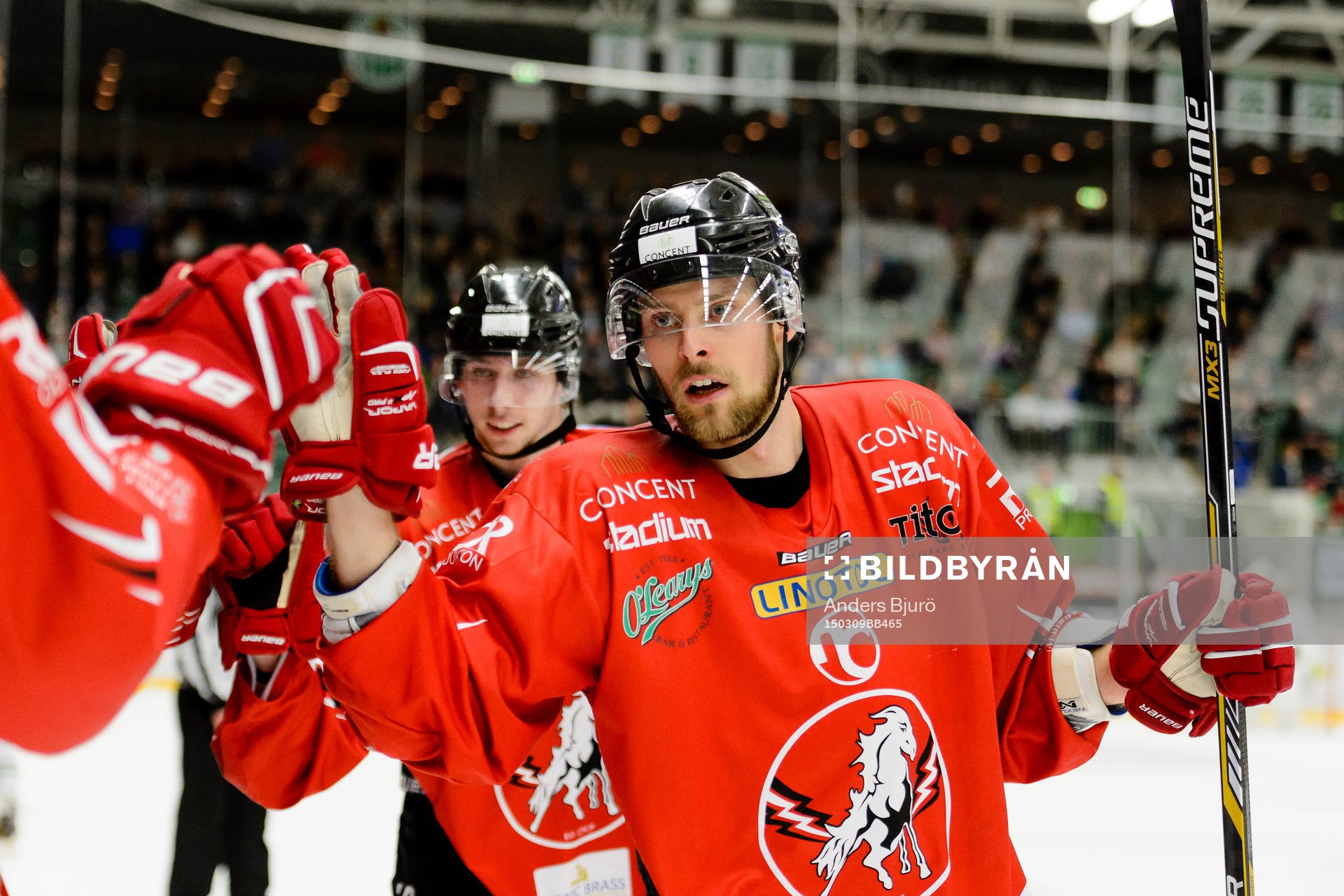 Vita Hästens Morgan Hassel firar med båset