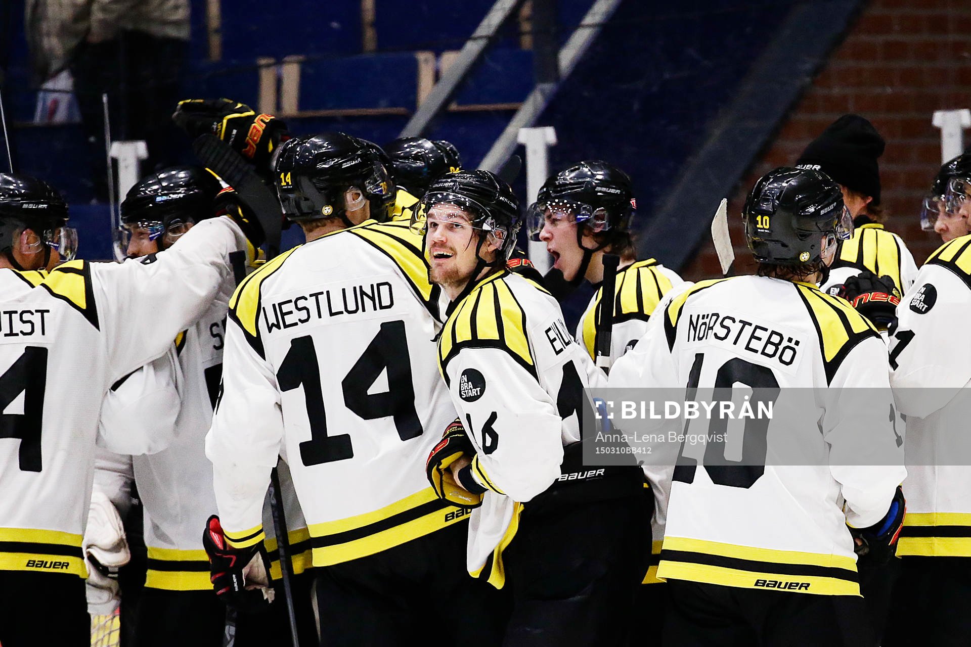 Brynäs spelare jublar