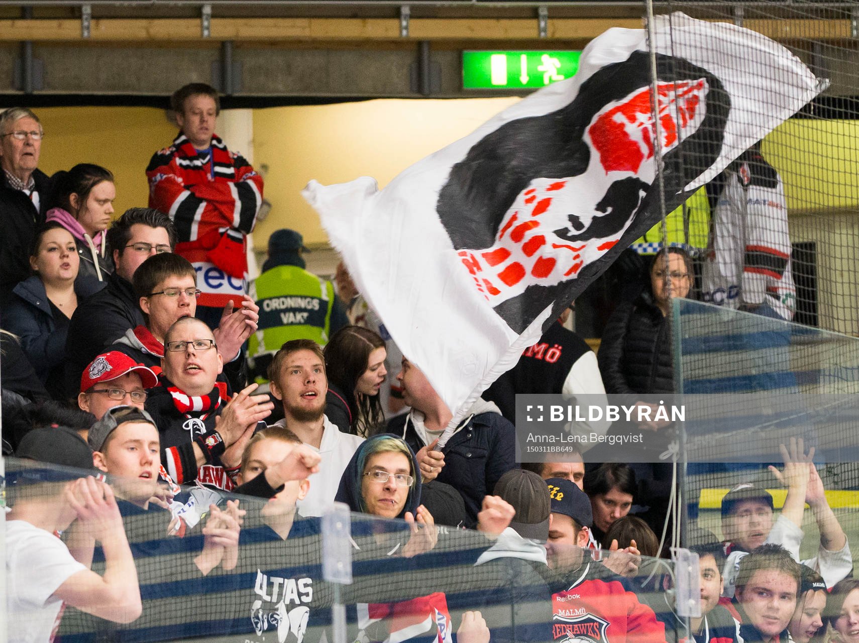 Malmö Redhawks supporters jublar på läktaren