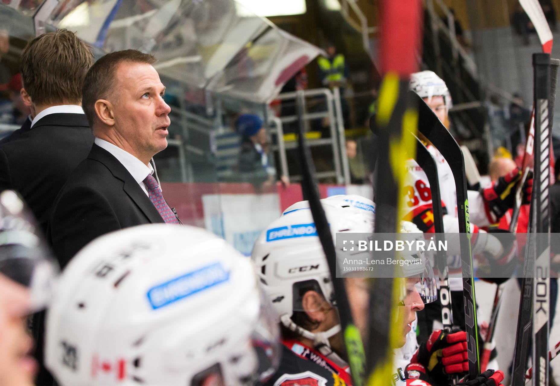 Malmö Redhawks tränare Mats Lusth