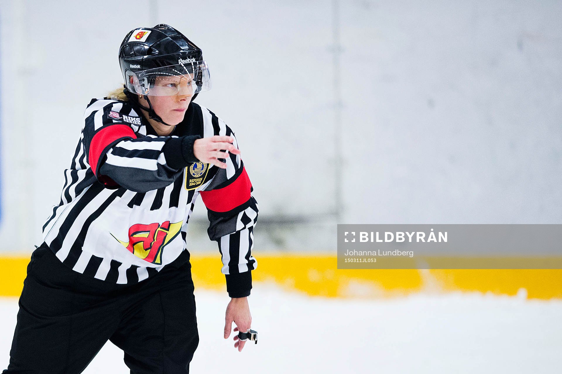 Domare Katarina Timglas