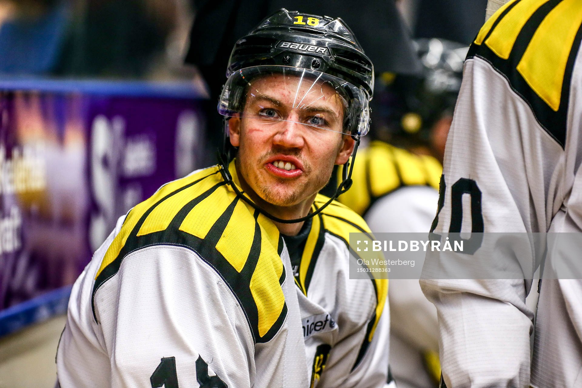 Brynäs Anton Rödin skriker på Skellefteås Pontus
