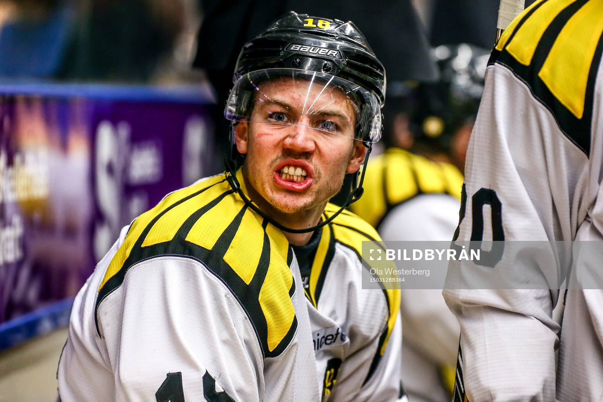 Brynäs Anton Rödin skriker på Skellefteås Pontus