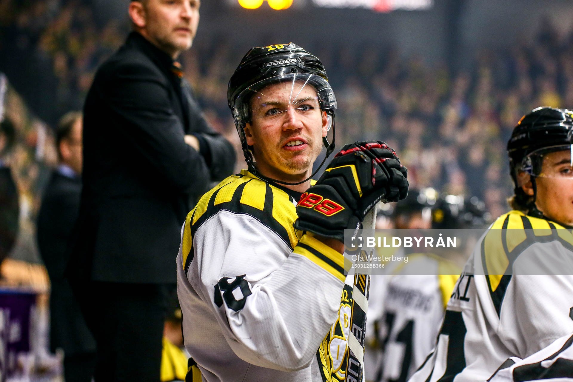 Brynäs Anton Rödin skriker på Skellefteås Pontus