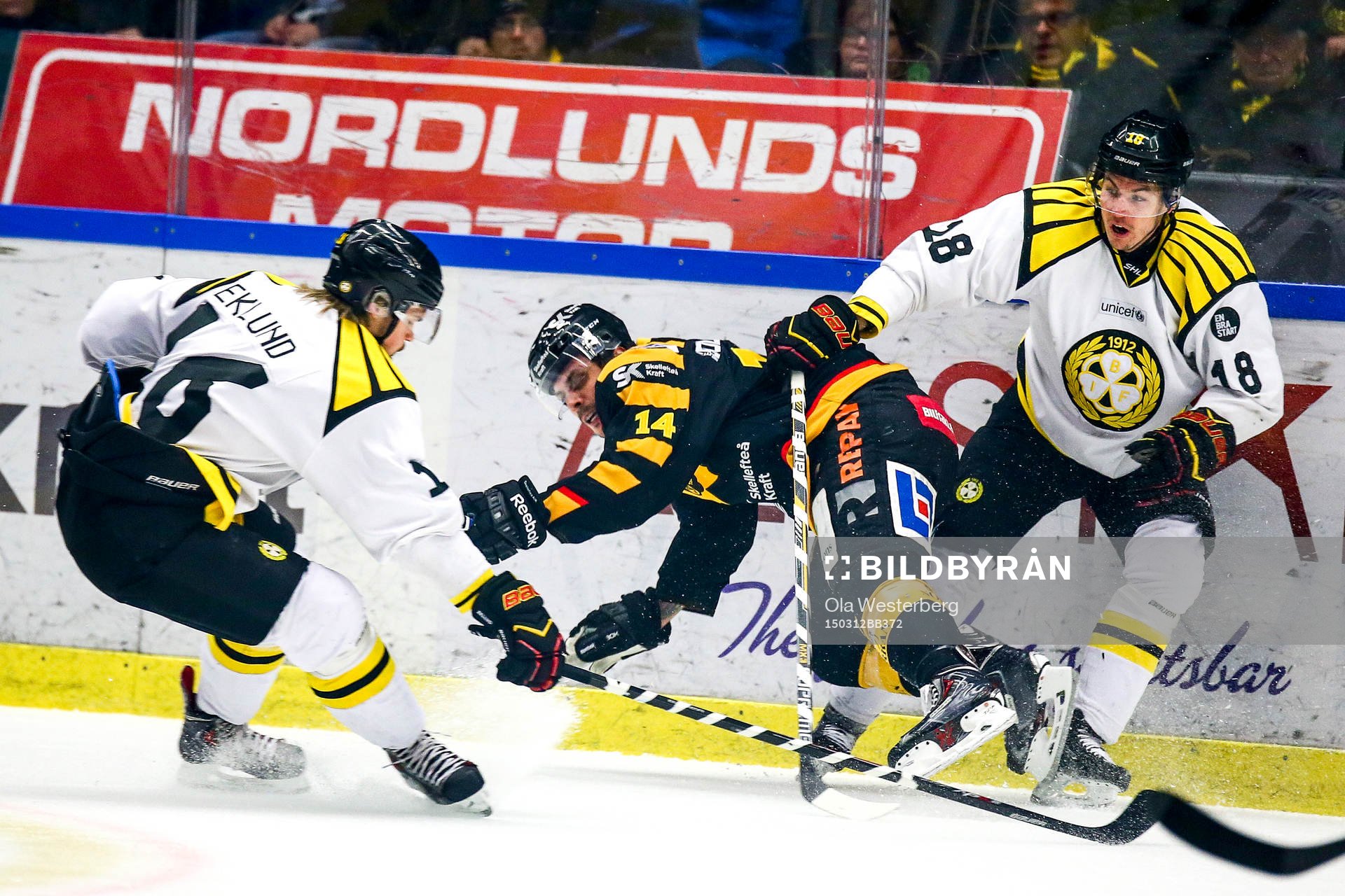 Skellefteås Daniel Widing