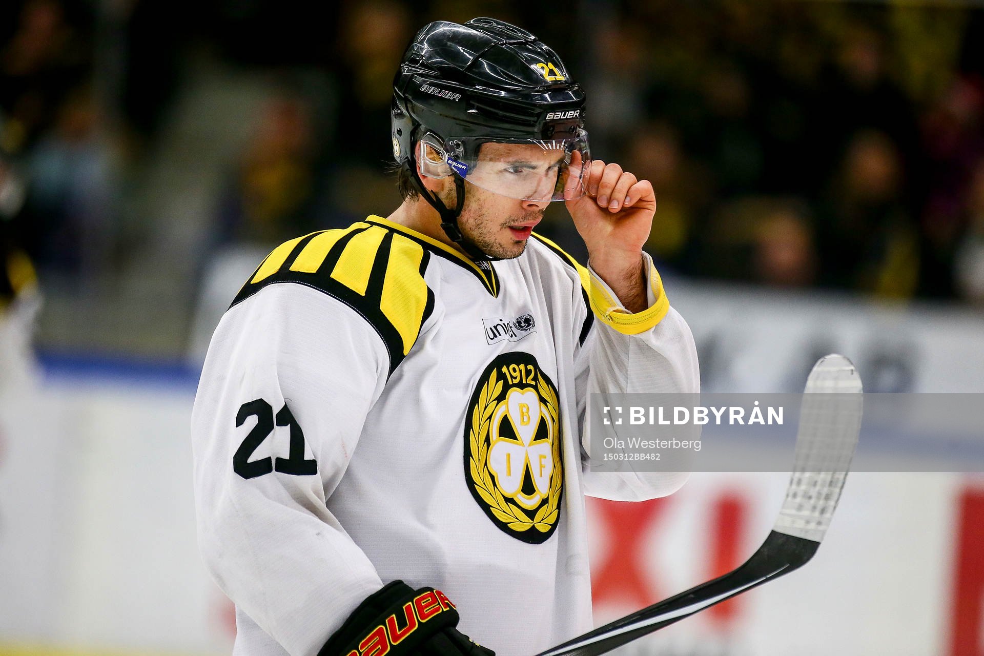 Brynäs Tim Wallace