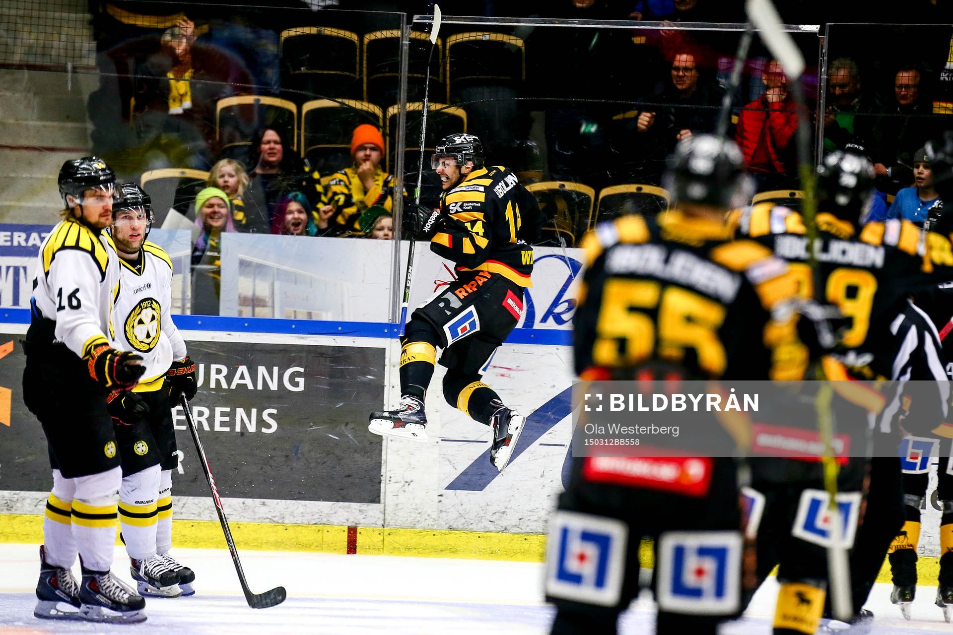 Skellefteås Daniel Widing jublar