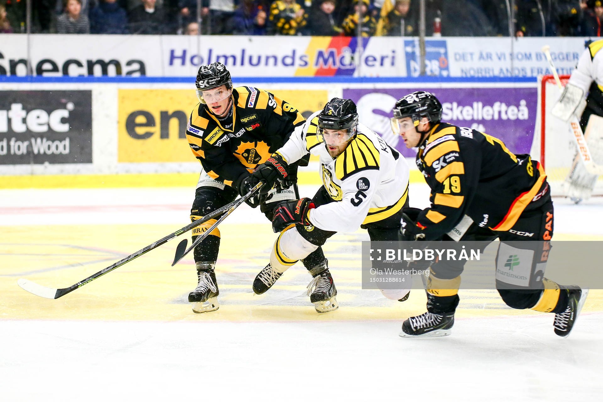 Skellefteås Patrik Zackrisson   och Andrew Calof