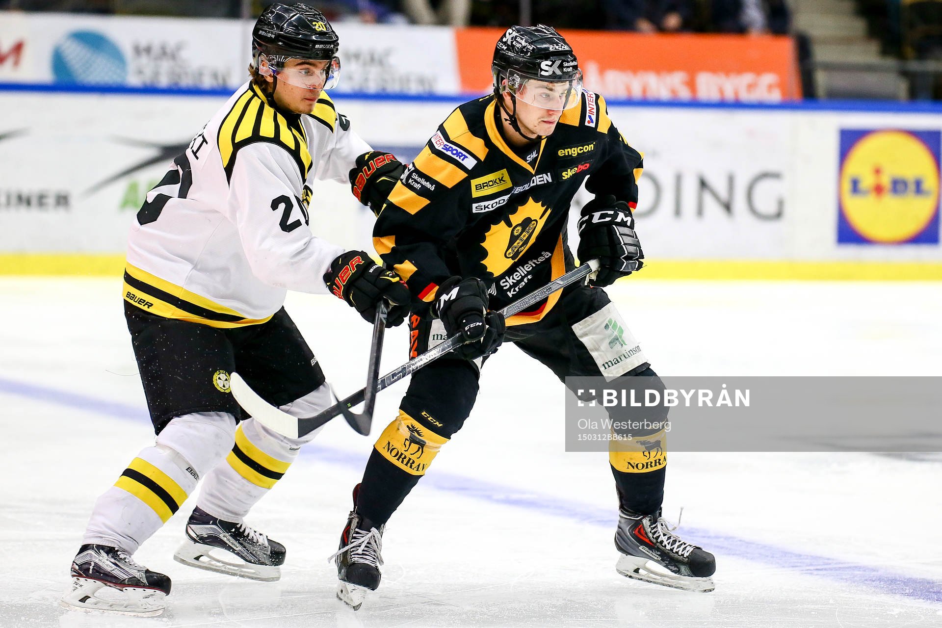 Skellefteås Kirill Kabanov