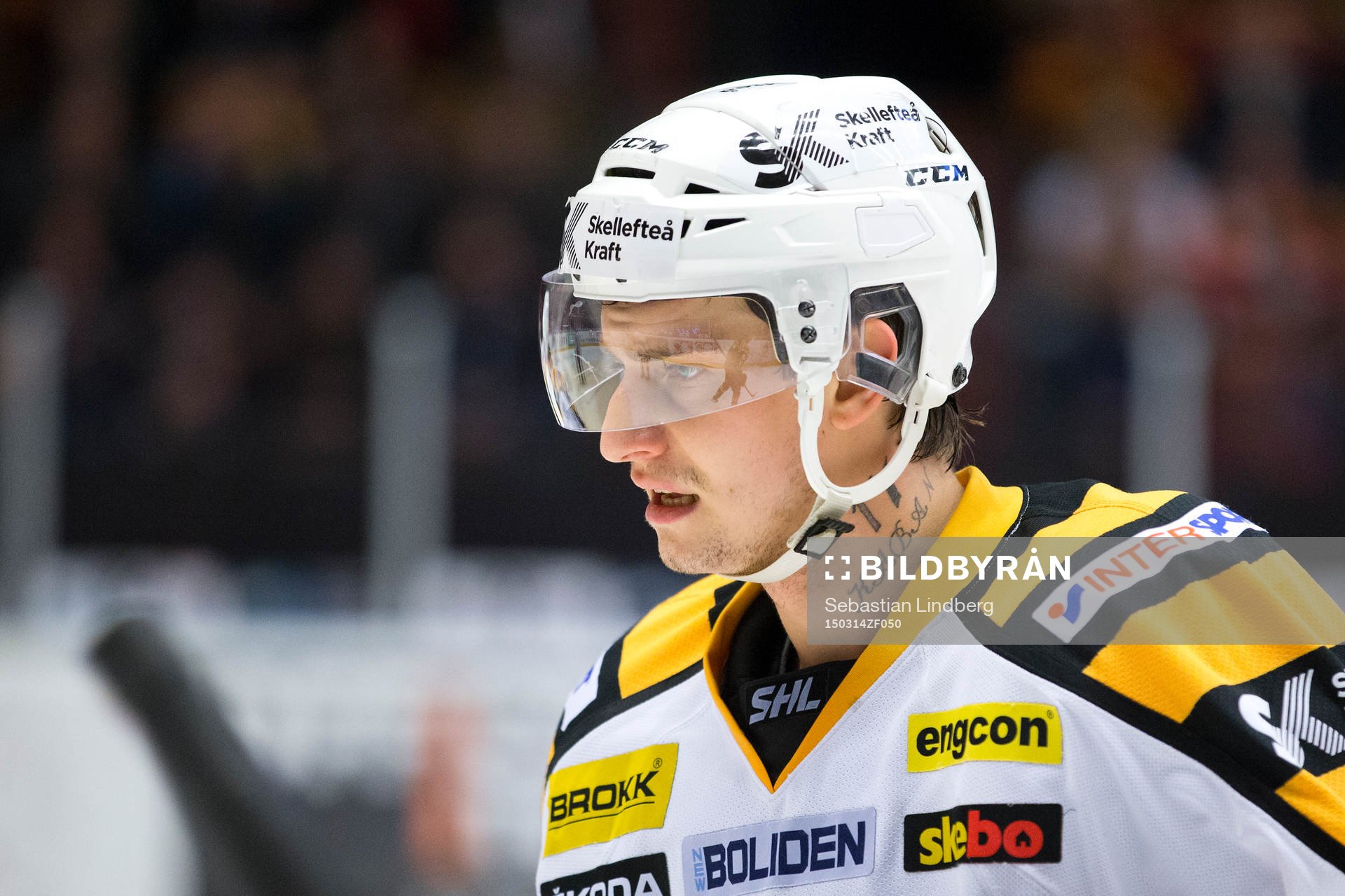 Skellefteå Kirill Kabanov