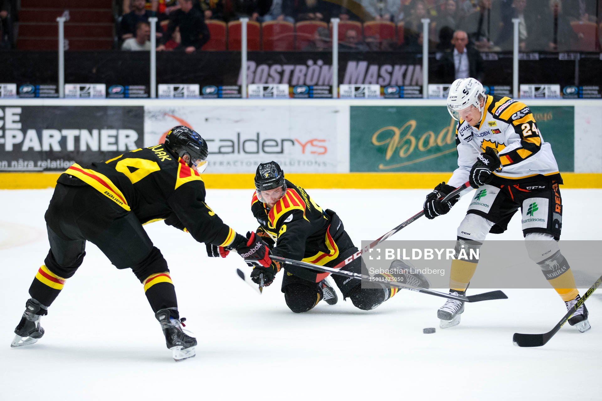 Brynäs Tomas Slovak och Niclas Andersen mot Skellefteå
