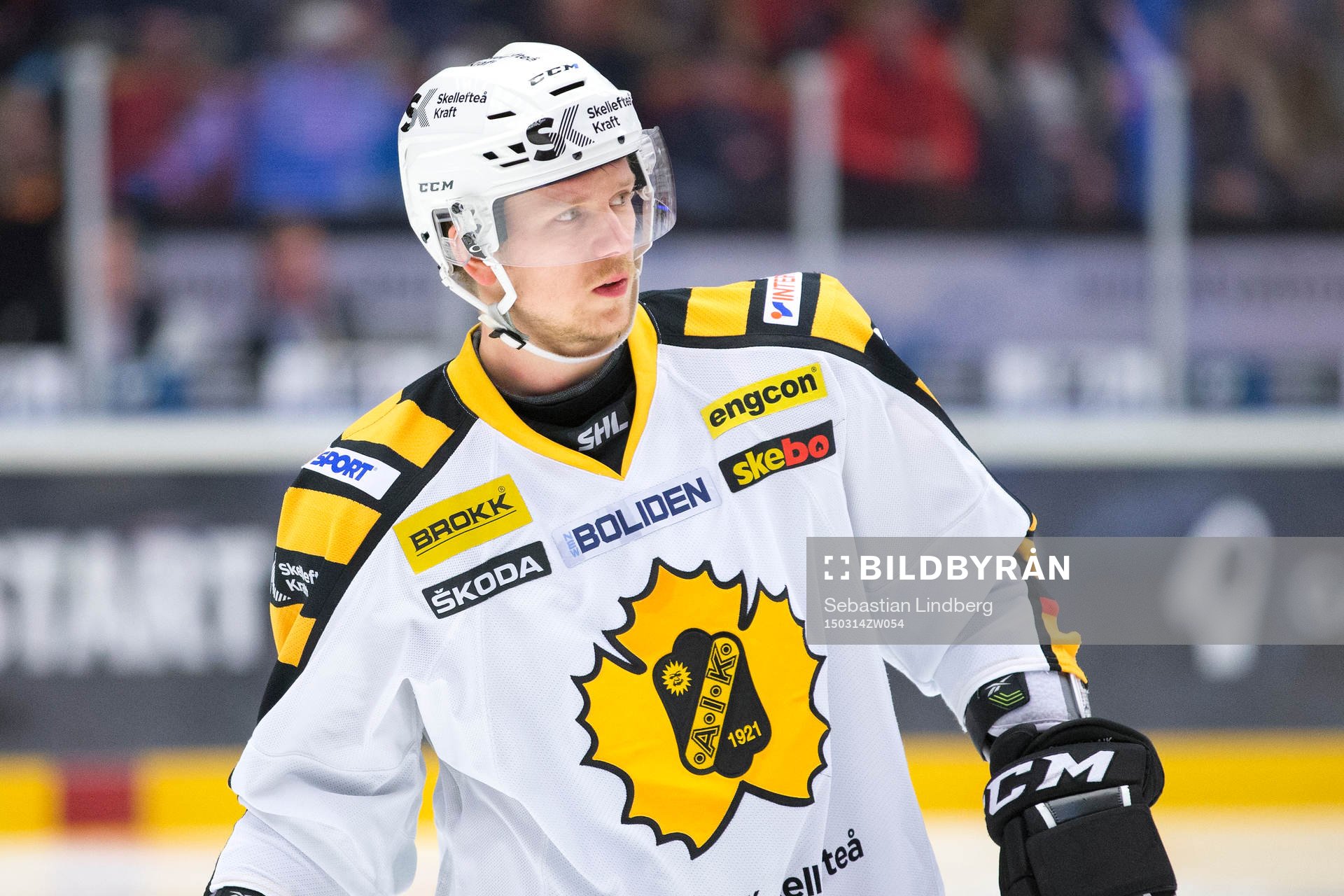 Skellefteå Tim Heed