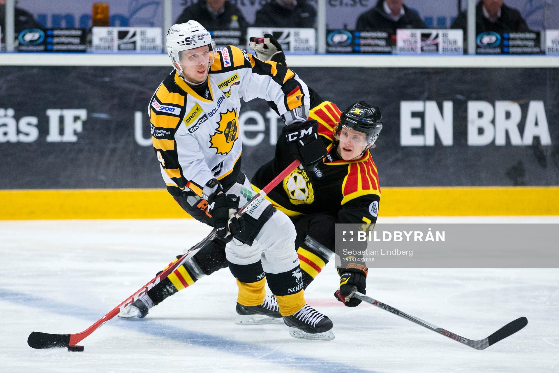 Skellefteå Tim Heed och Brynäs Daniel Mannberg