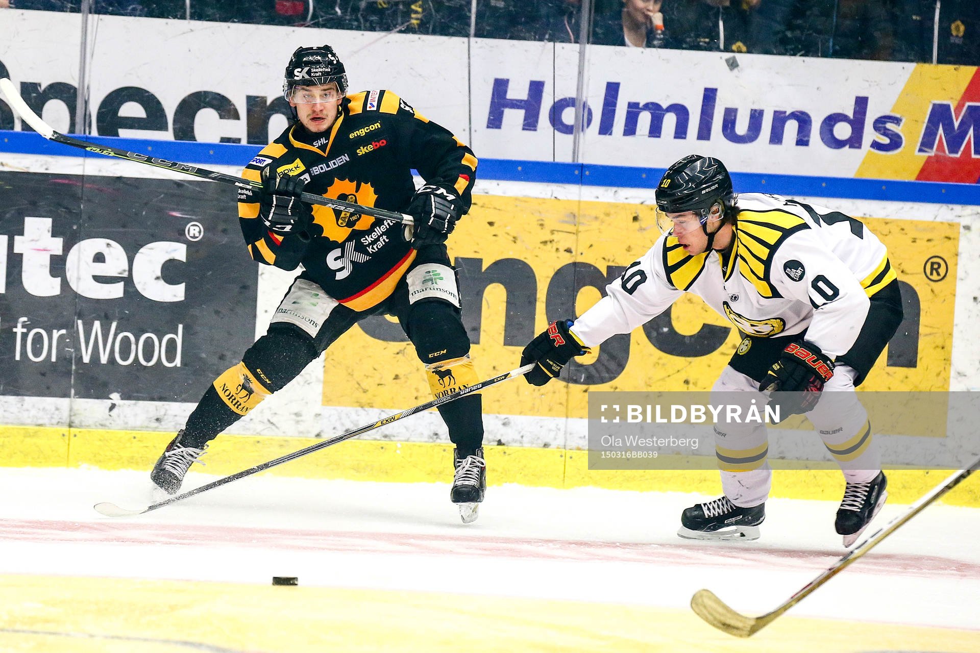 Skellefteås Kirill Kabanov