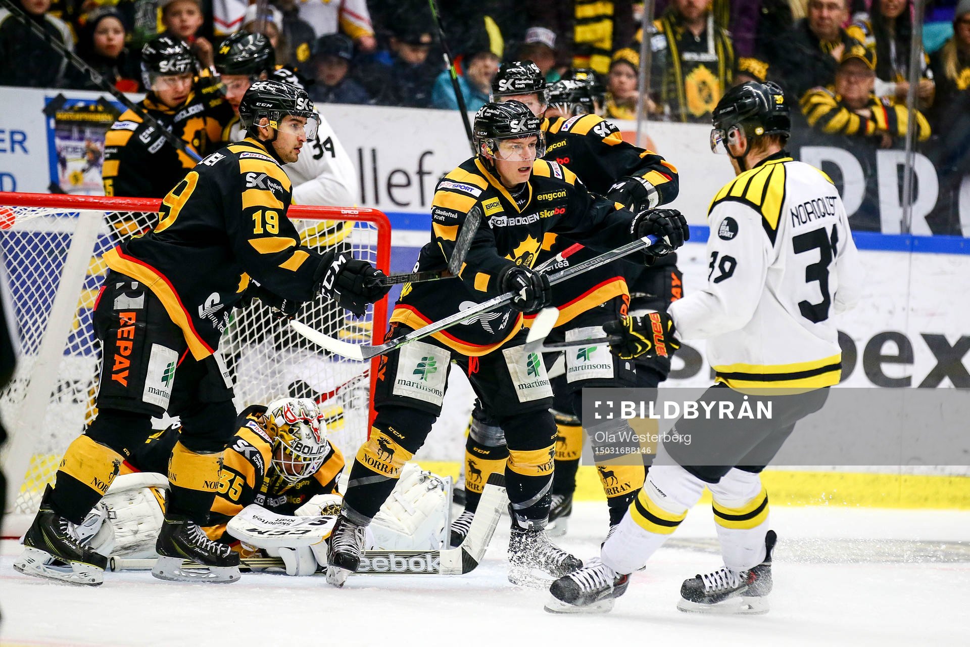 Skellefteås Andrew Calof och Patrik Zackrisson