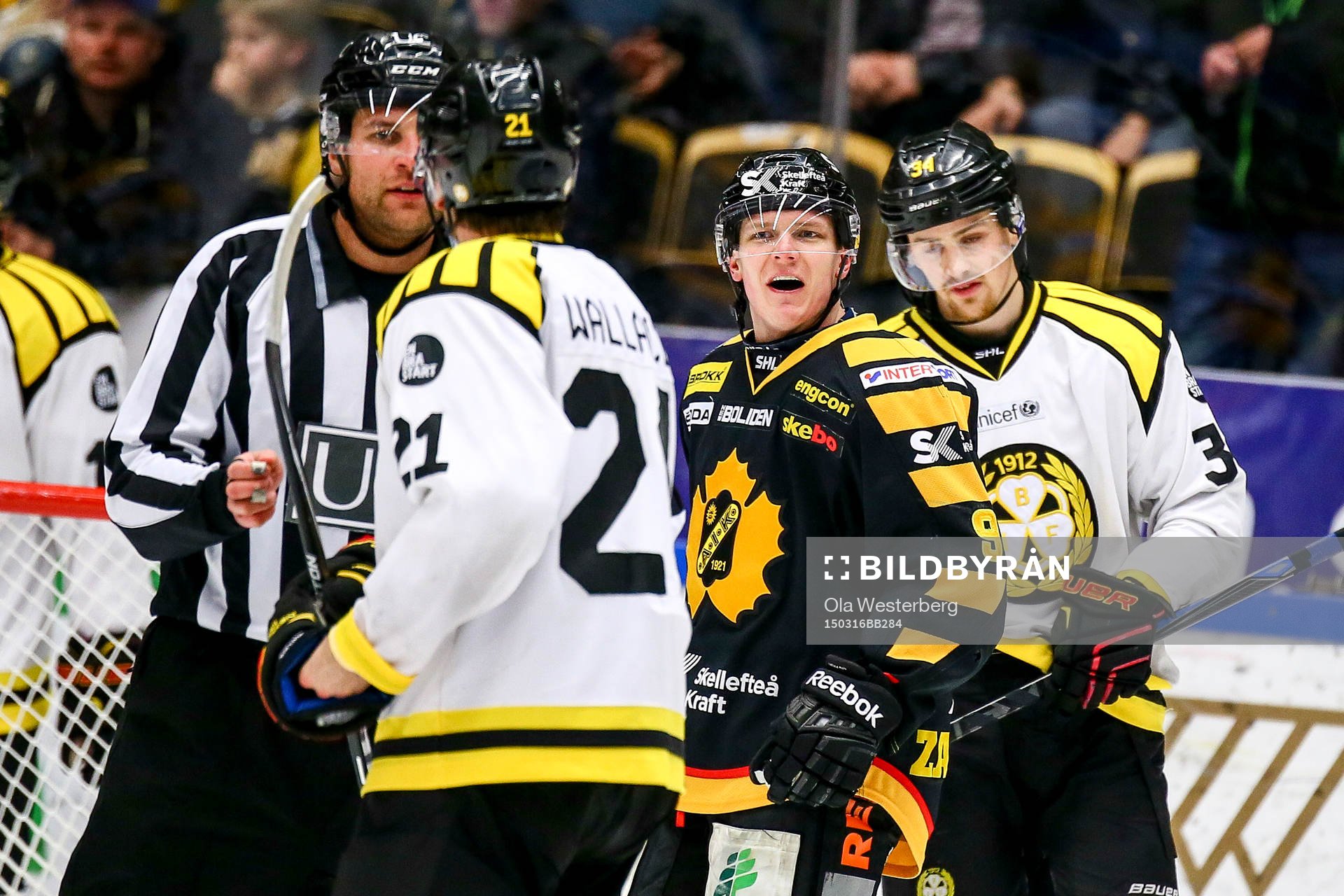 Skellefteås Patrik Zackrisson  provocerar Brynäs Tim