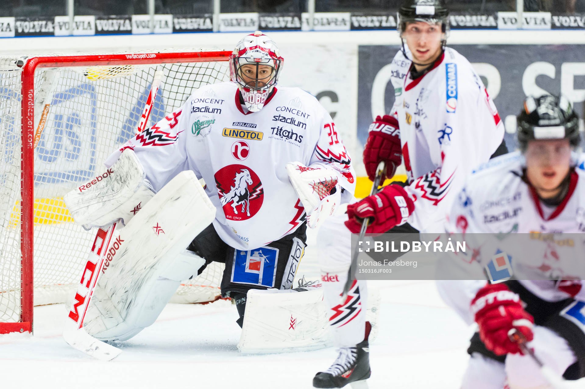 Vita Hästens målvakt Henrik Lundberg