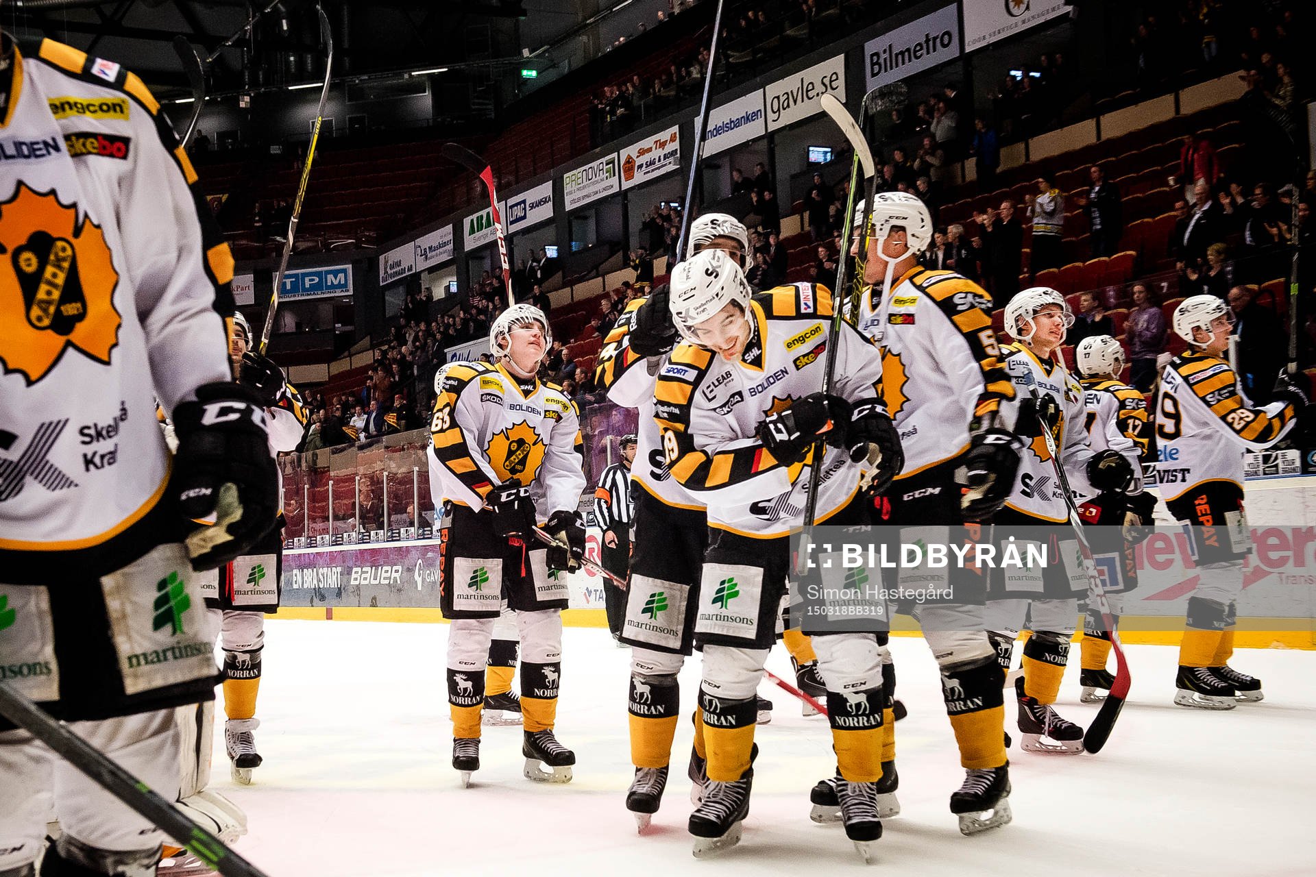 Skellefteås Andrew Calof jublar med lagkamraterna