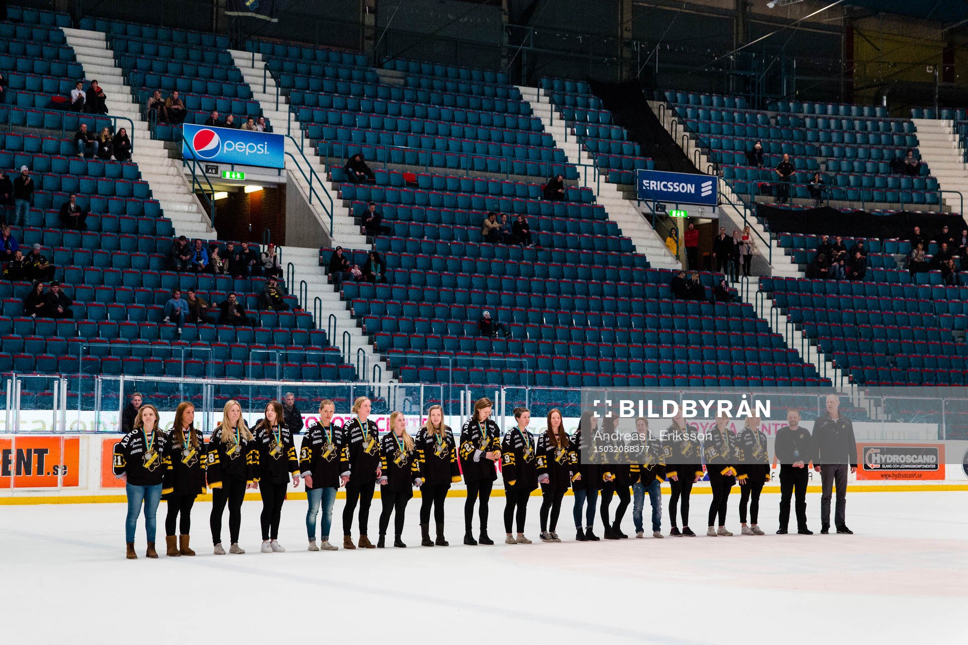 s damhockeylag hyllas  för sitt SM-silver