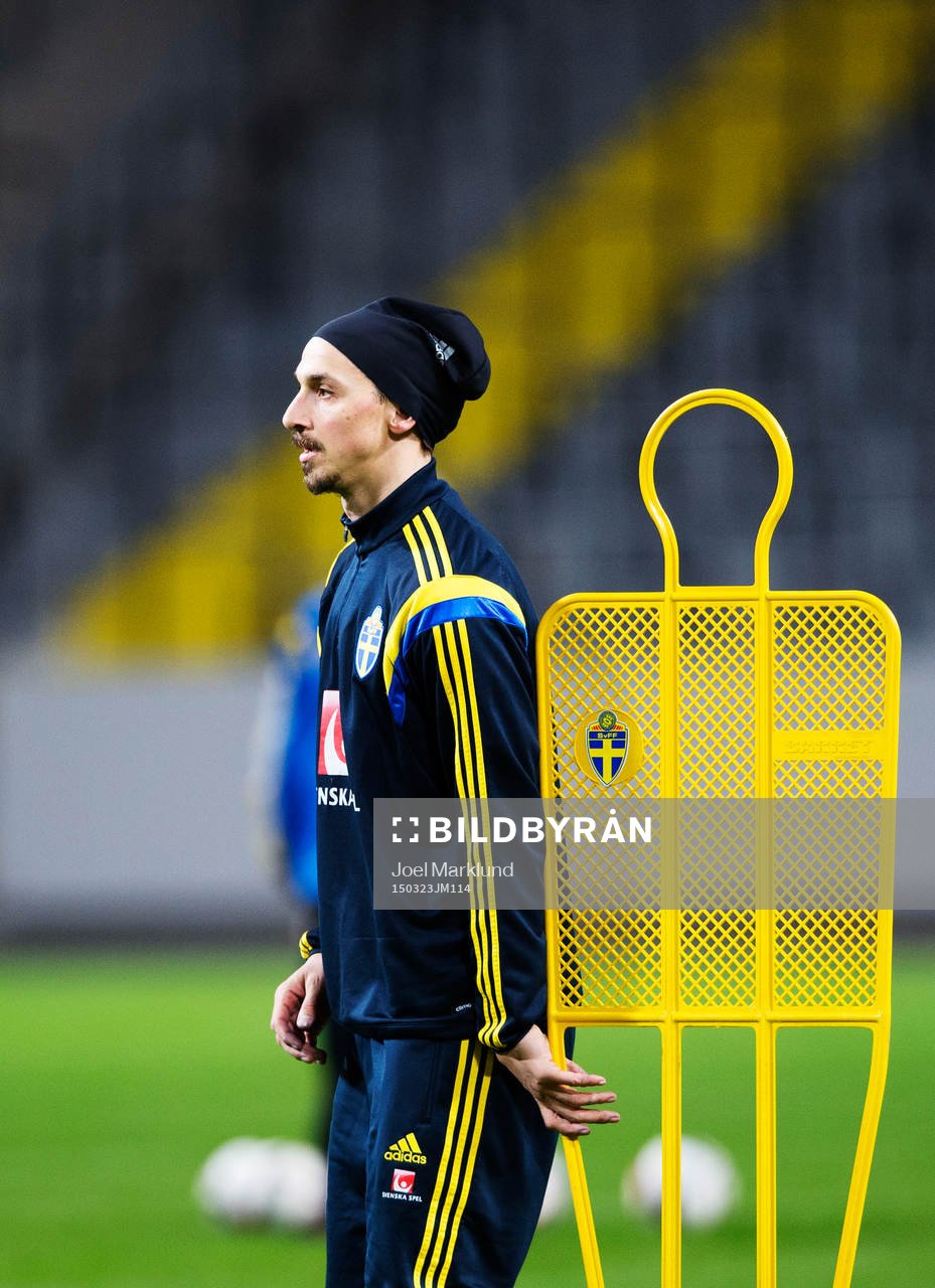 Zlatan Ibrahimovic