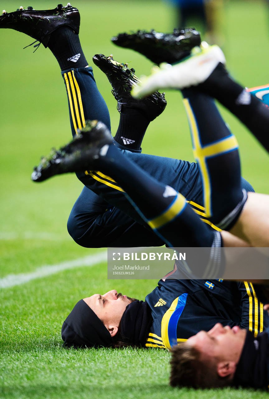 Zlatan Ibrahimovic