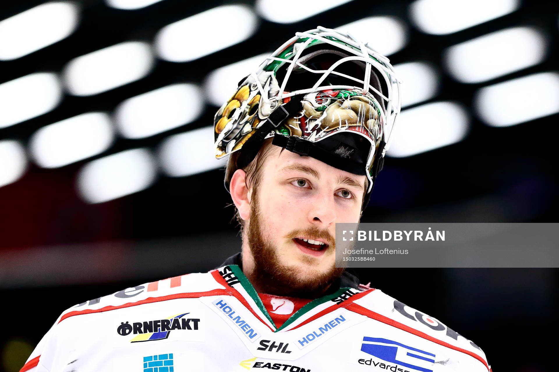 s målvakt Linus Ullmark