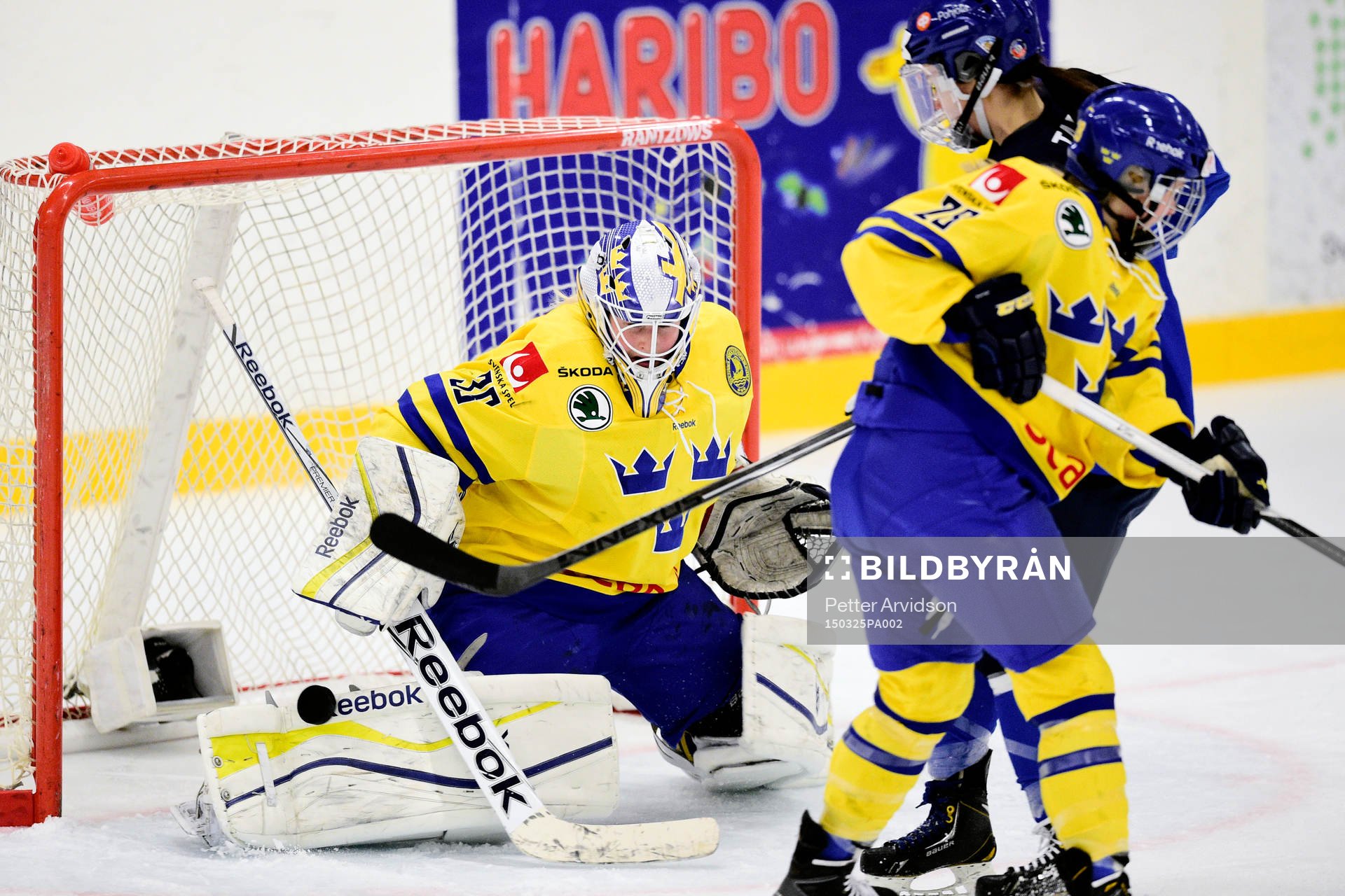 Sveriges målvakt Kim Martin Hasson