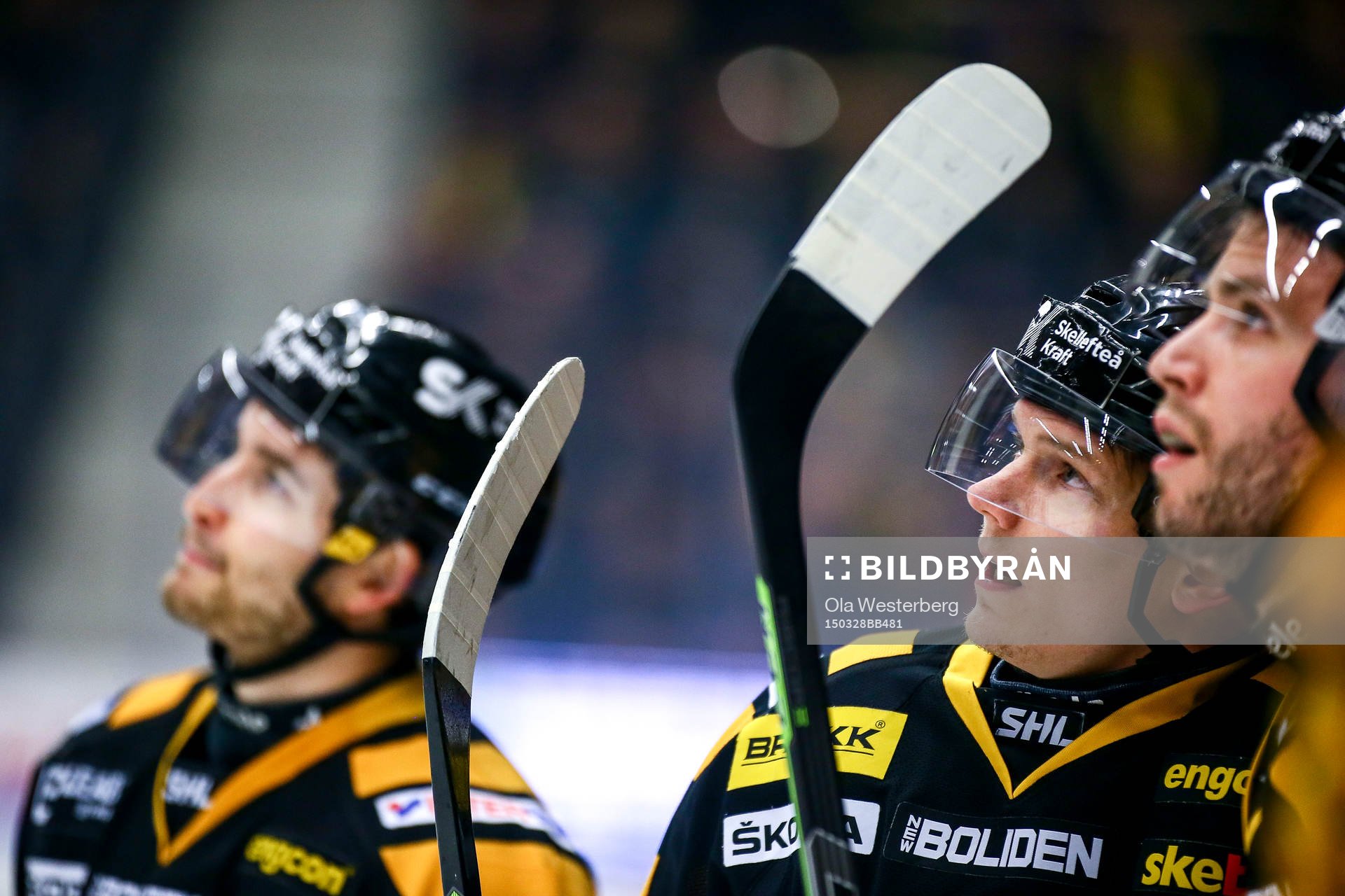 Skellefteås Patrik Zackrisson , Pontus Petterström och