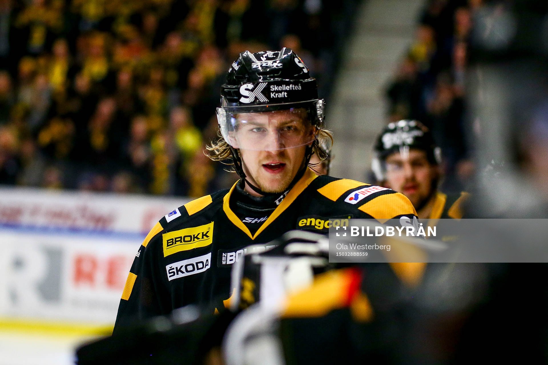 Skellefteås Anton Lindholm  jublar
