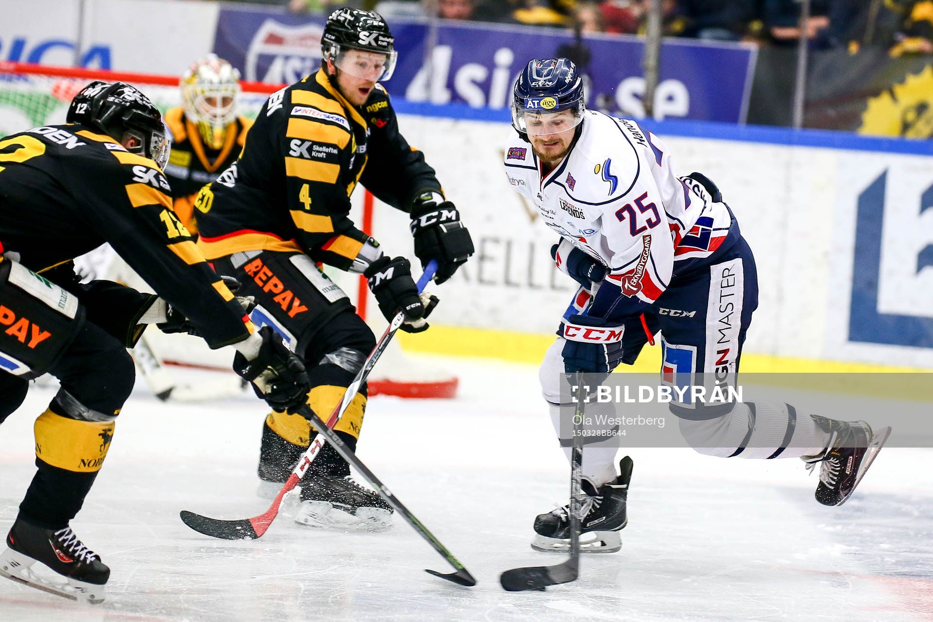 Skellefteås Tim Heed