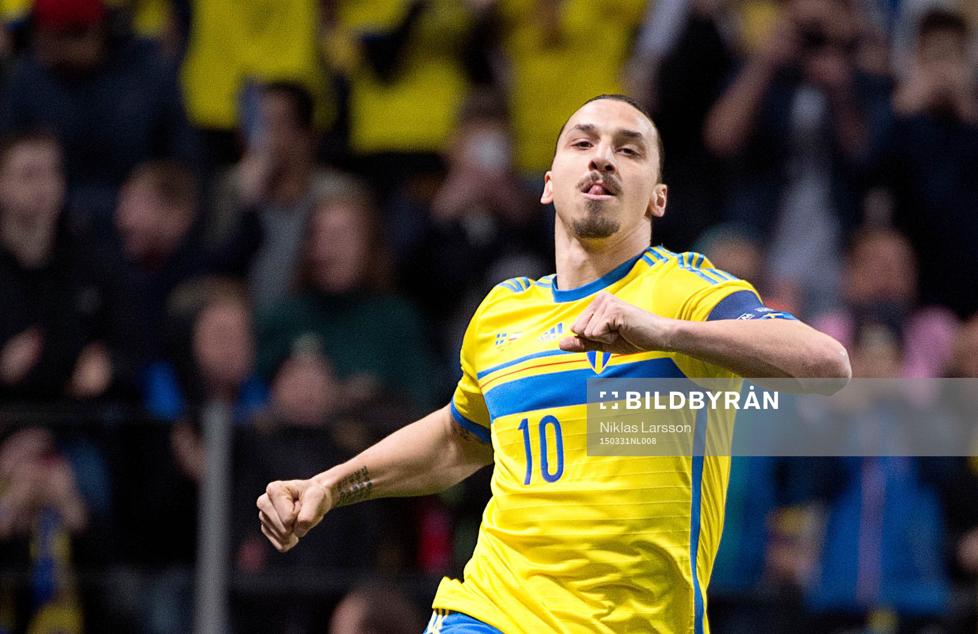 Sveriges Zlatan Ibrahimovic jublar