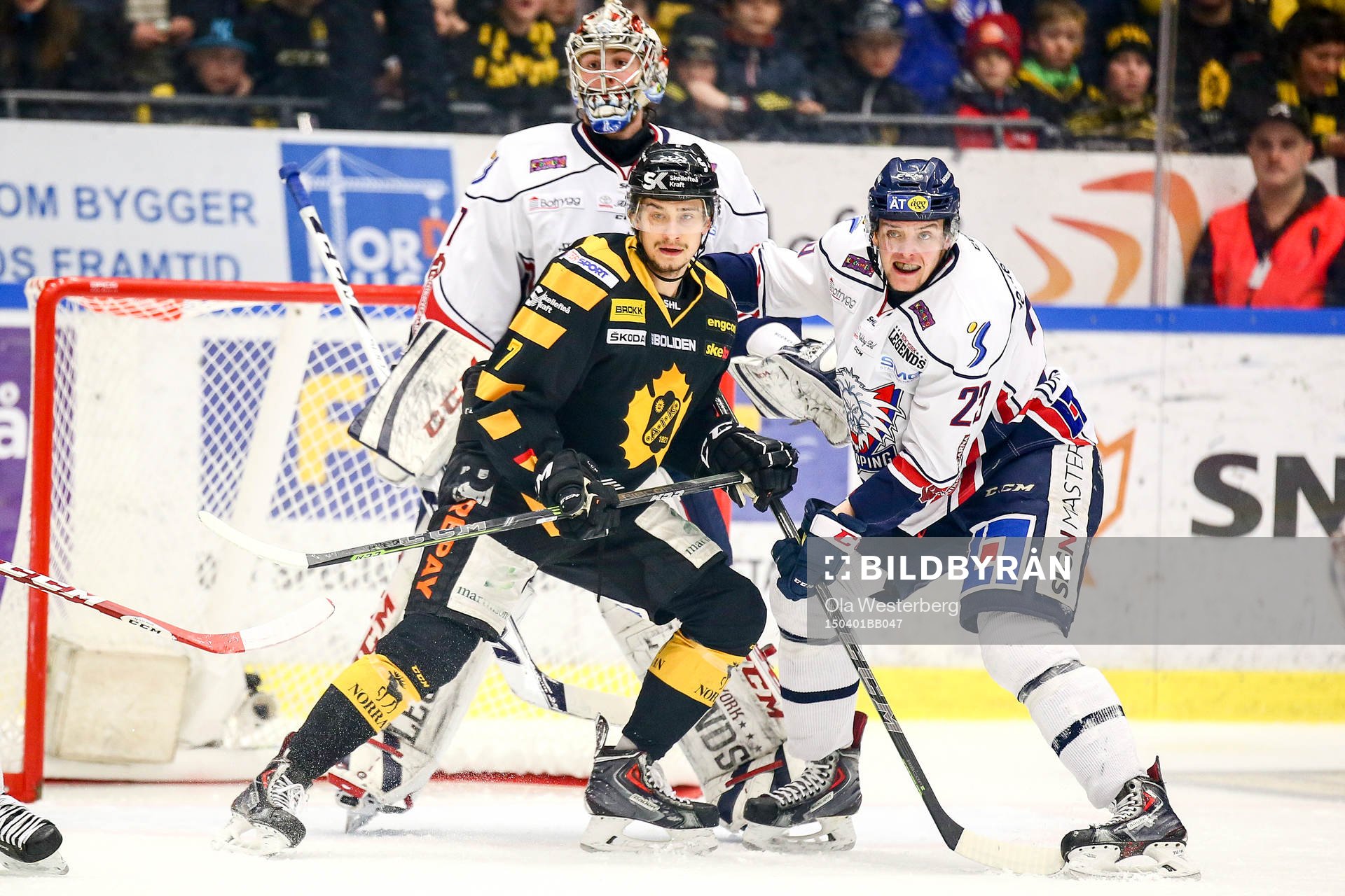Skellefteås Kirill Kabanov