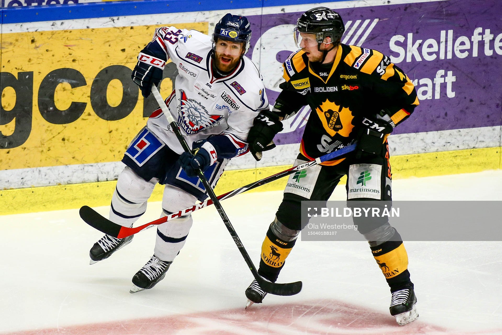 Skellefteås Tim Heed