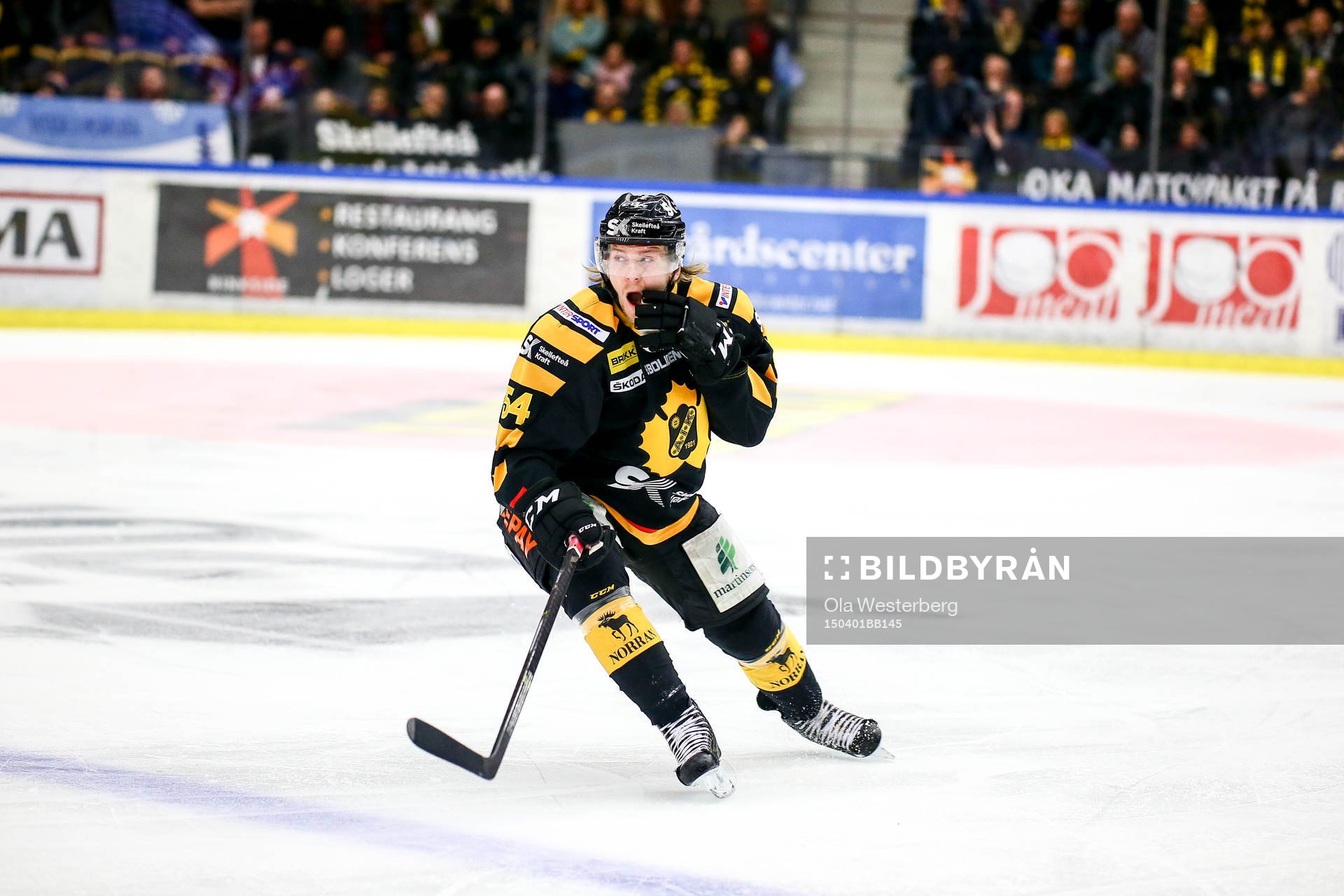 Skellefteås Anton Lindholm